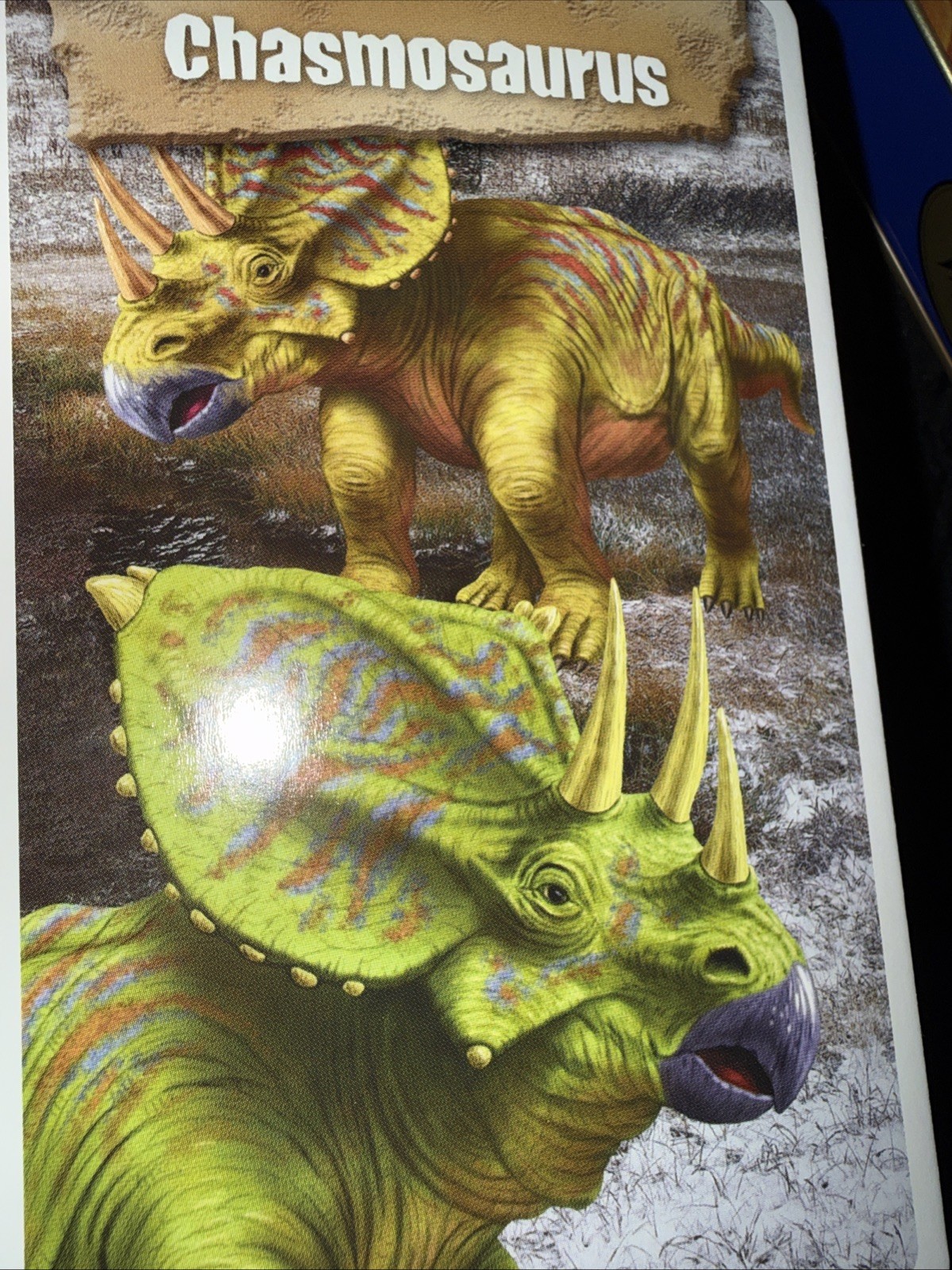A+ Let’s Grow Smart Flash Cards — Dinosaurs. Box Is Ripped