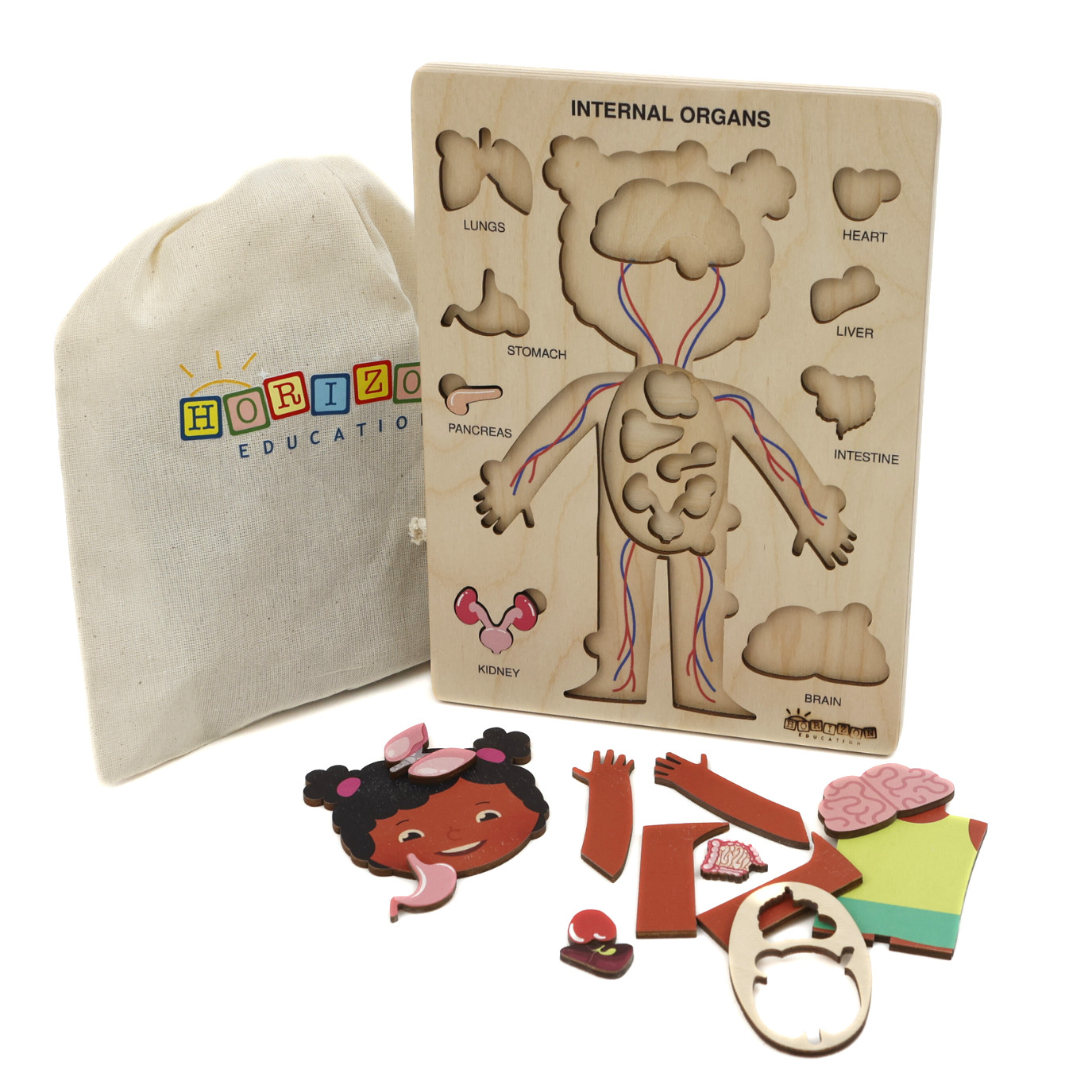 Montessori Wooden Human Body Puzzle – Organs & Stand, STEM Educational (Ages 3+)