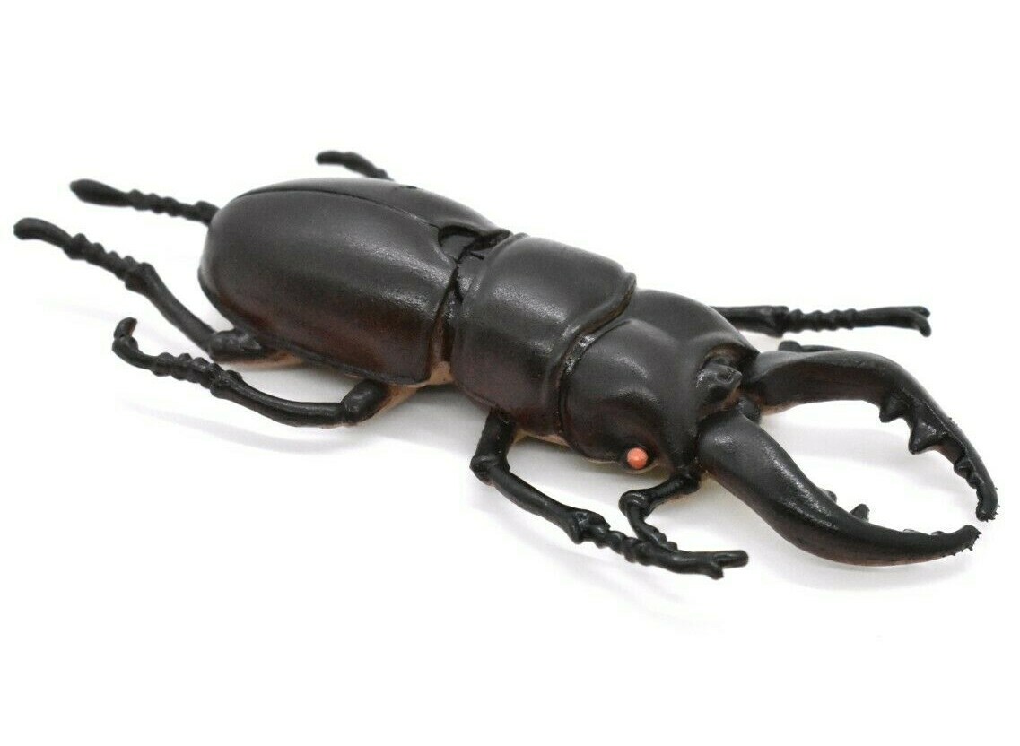 Stag Beetle, Very Nice Rubber Reproduction 3″ CWG01 B13