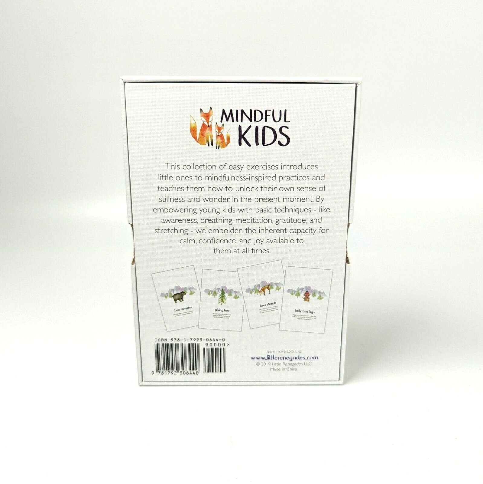 Little Renegades Mindful Kids Guided Meditation Cards Educational Montessori