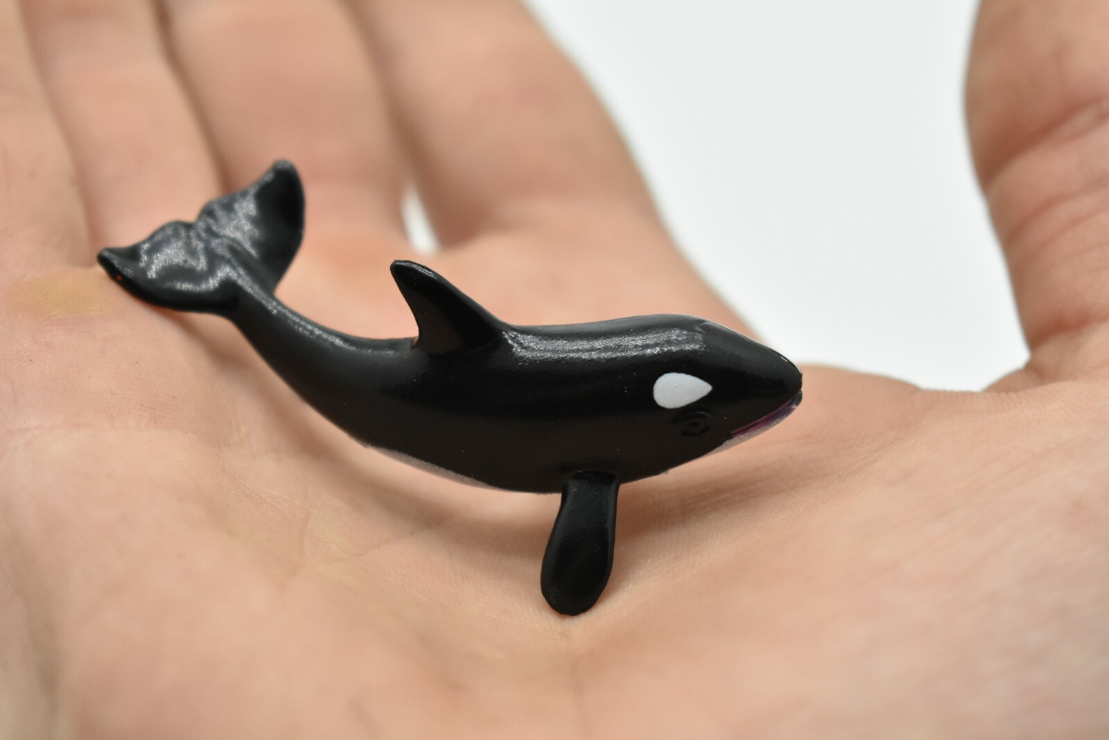 Orca, Killer Whale, Baby, Calf, Very Nice Plastic Replica 2 1/2″ ~ F7033-B5