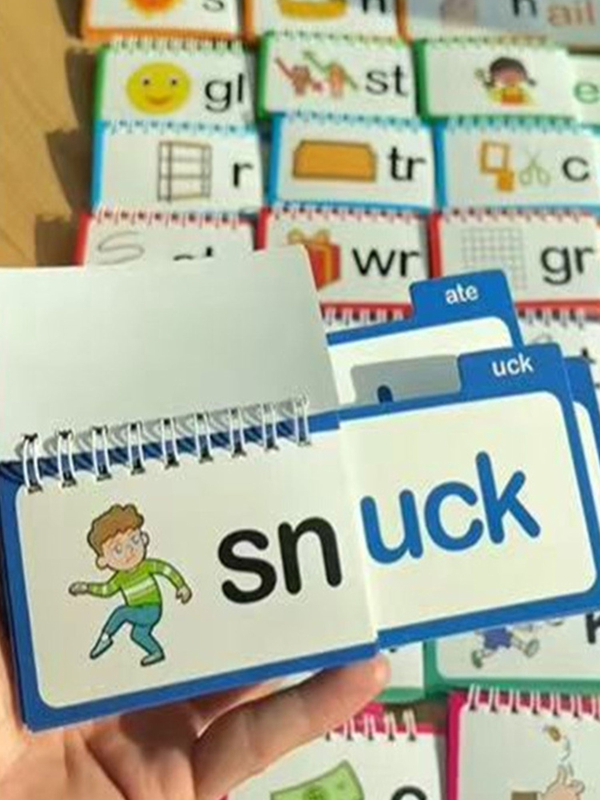 Reading Flip Book 30 Read and Rhyme Flip Book Flash Cards ABC Vocabulary CardsET