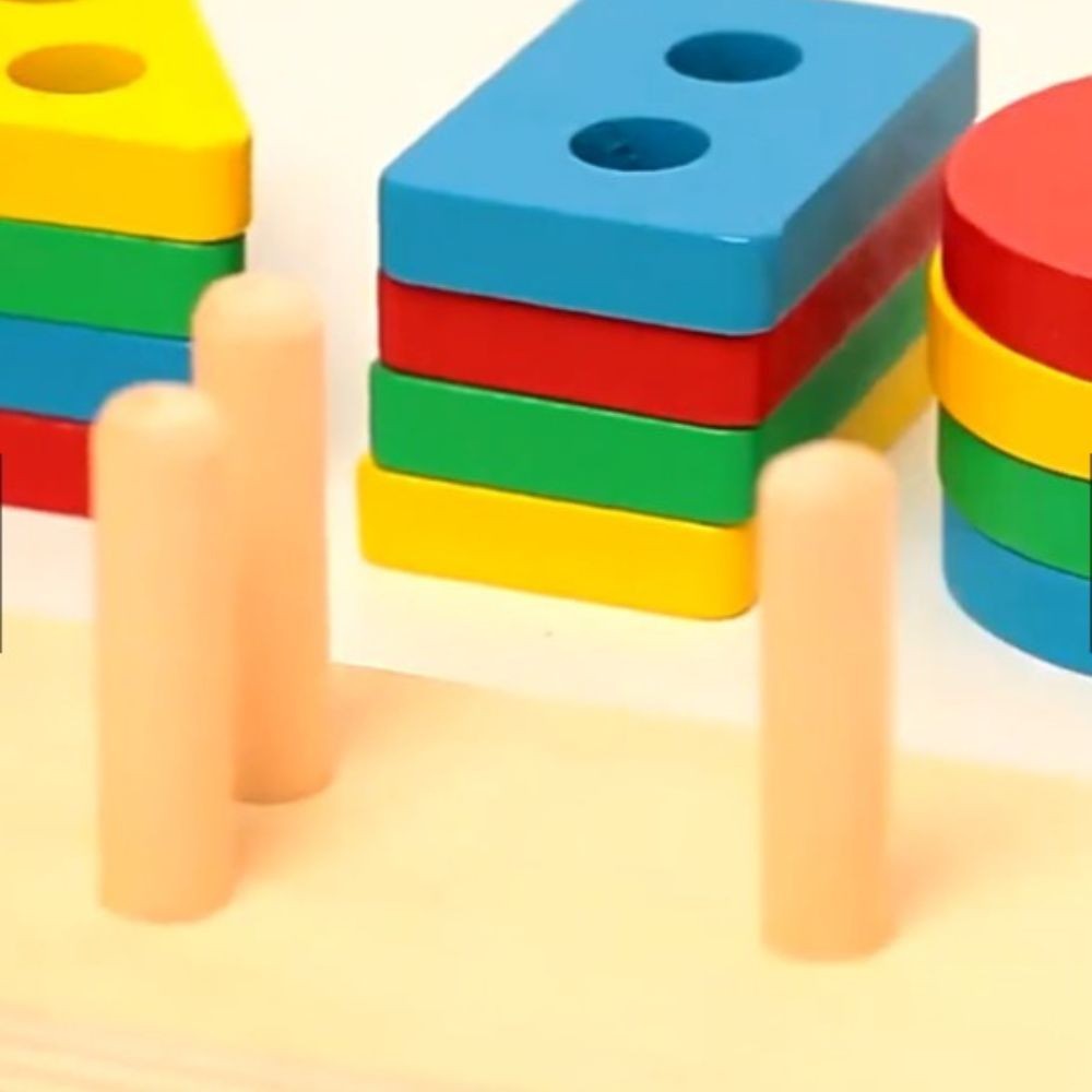 Multi-Color Wooden Puzzle for Kids Educational Montessori Toy Age 1-3 Cognitive