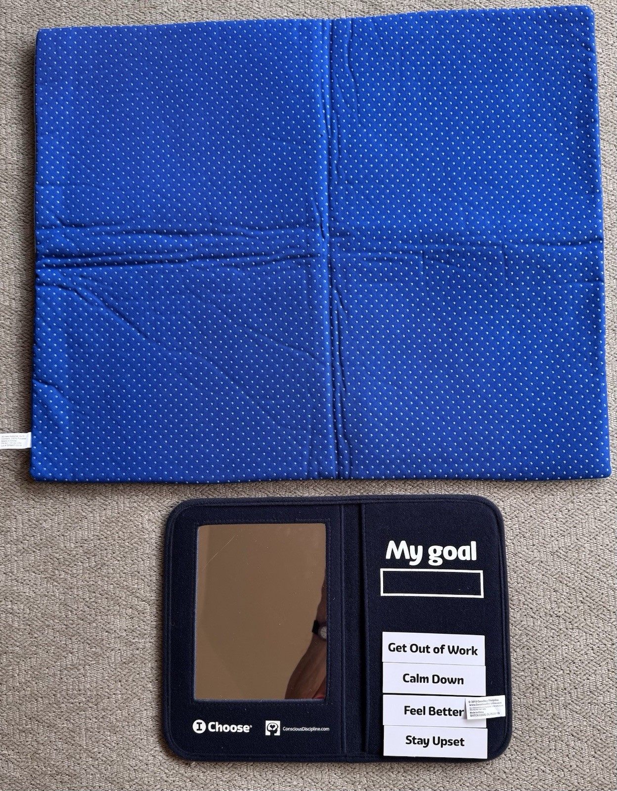 Conscious Discipline Miscellaneous Items. Posters, Apron & More