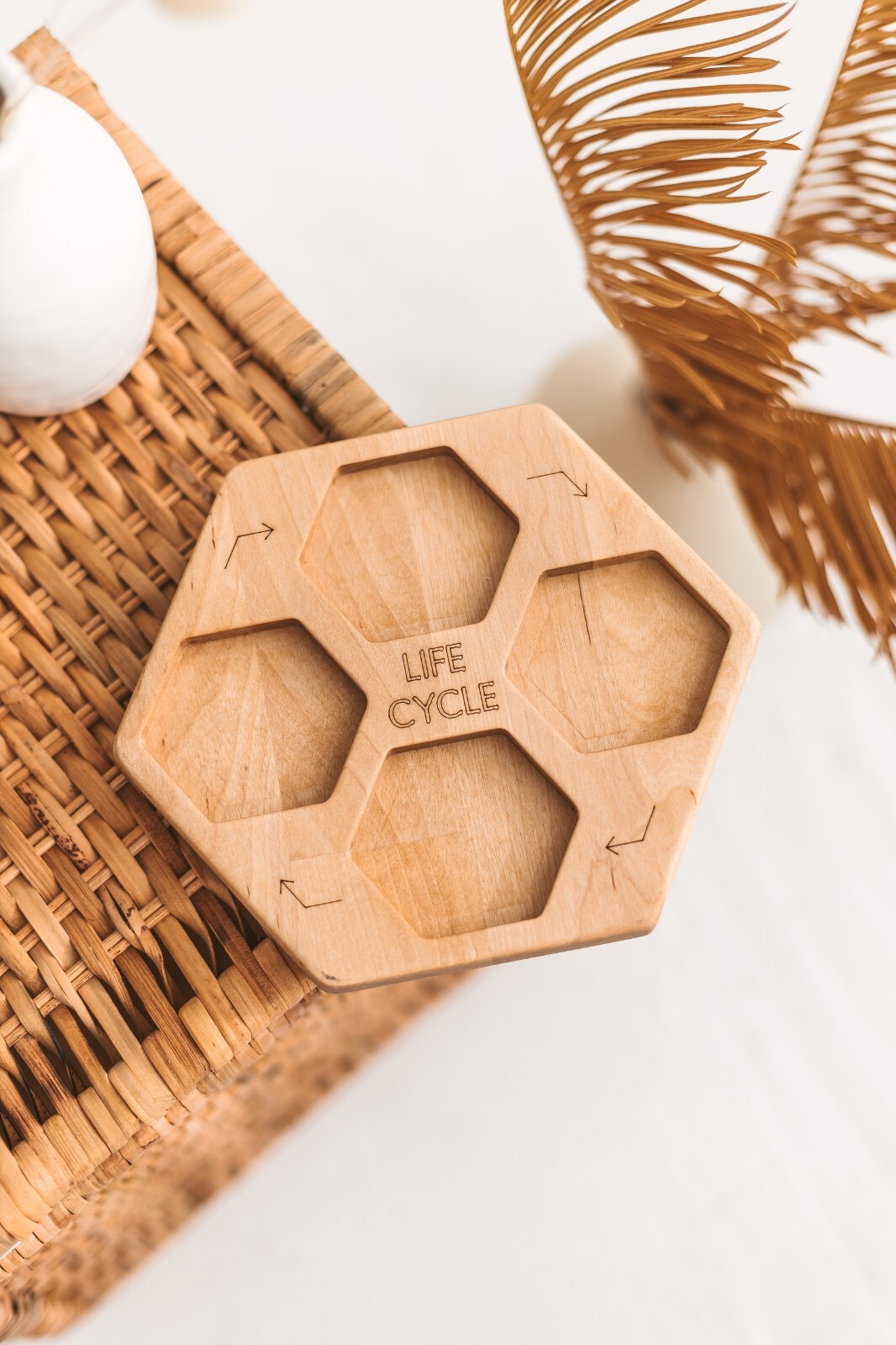 Life cycle plate, hexagon, wooden nature toys, learning activity toys homeschool
