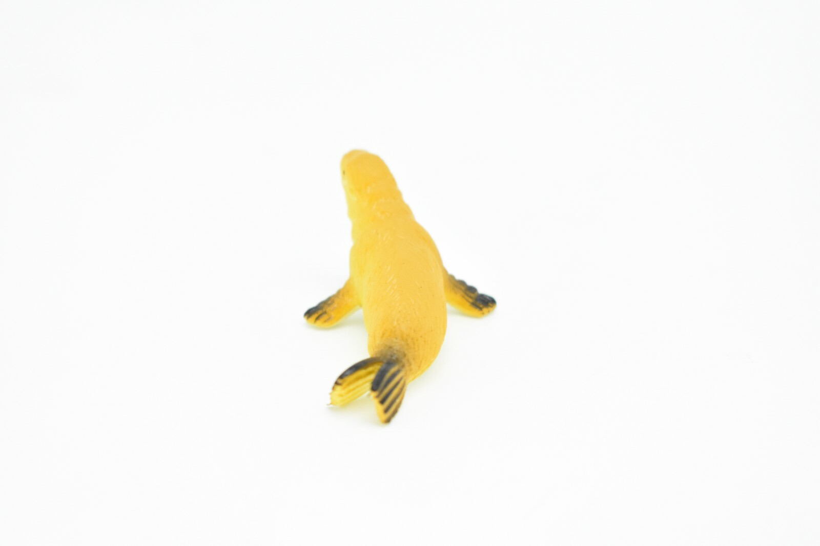 Sea Lion, Female, Very Nice Plastic Replica 2 1/2″ F593 B35