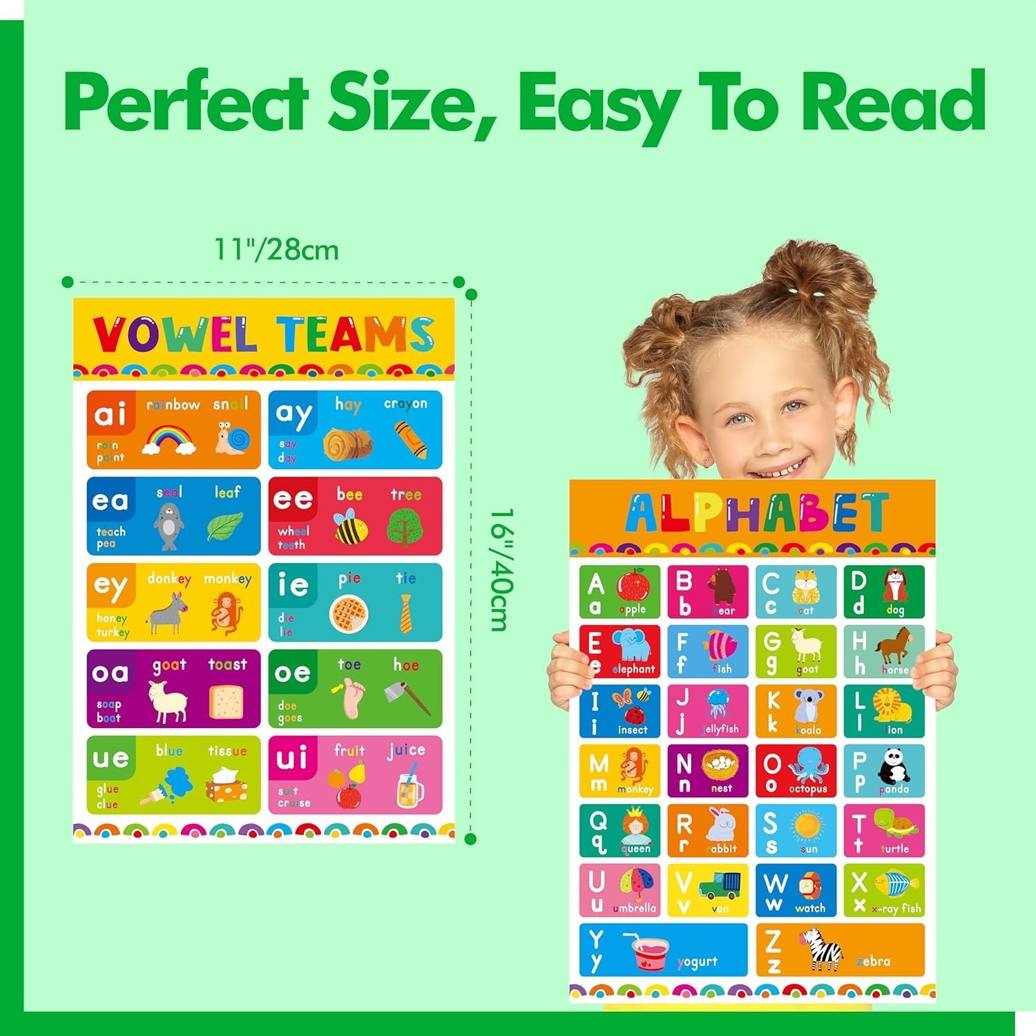 17 Phonics Posters English Language Education Kindergarten Laminated Durable …