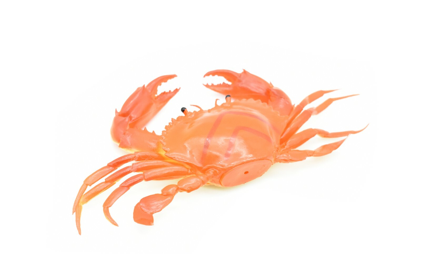 Crab orange and brown Very Nice Rubber Replica with squeak 8″ – F1680 B98
