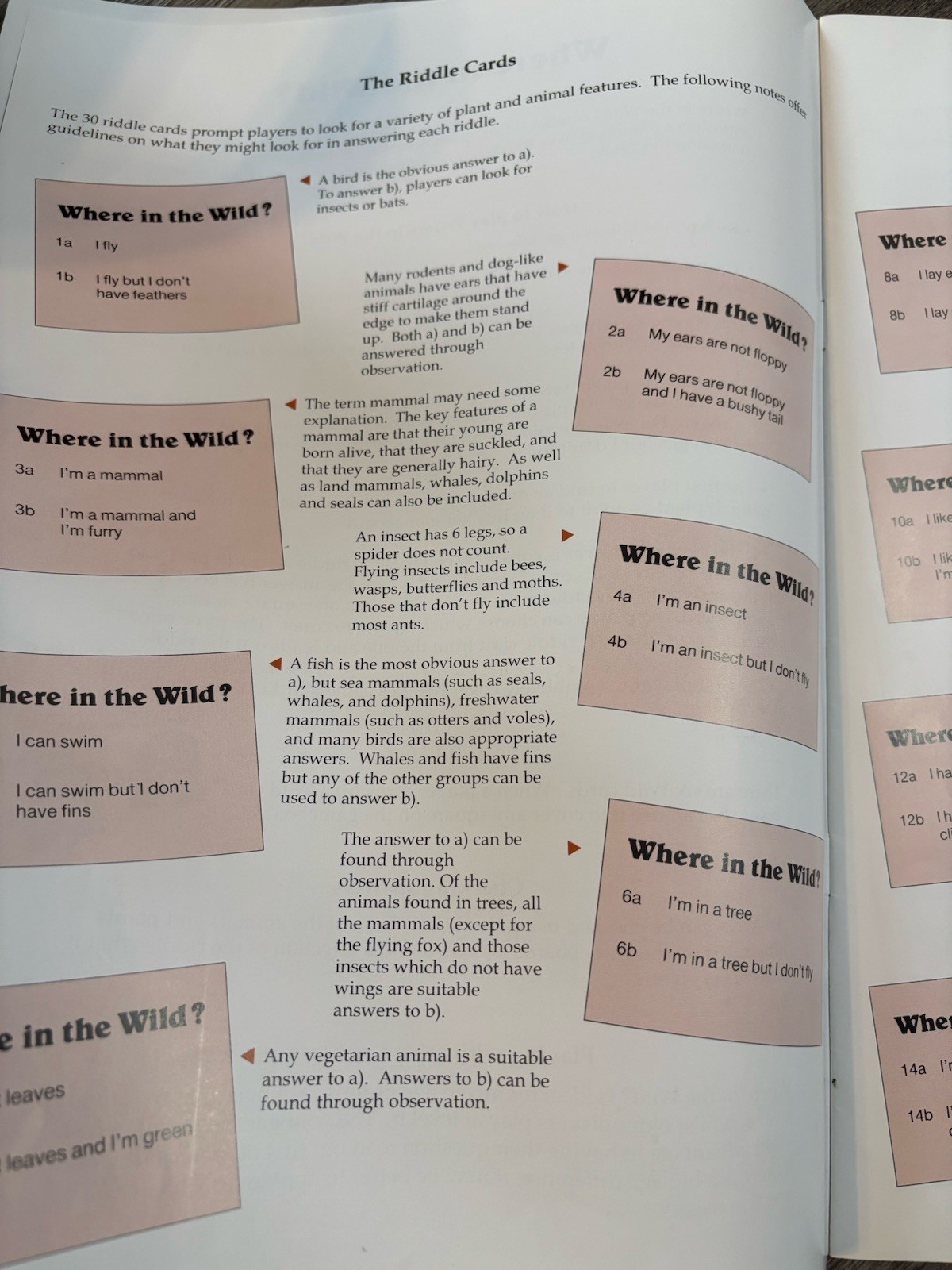 Living And Learning Where in the Wild I Spy Game Homeschooling Game