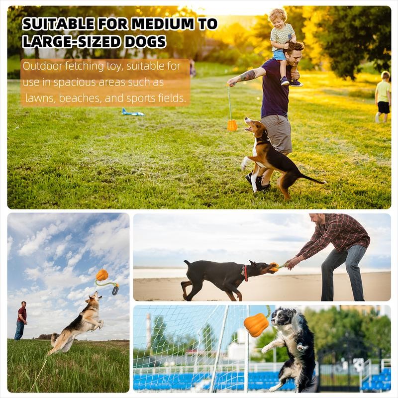 PROKEl Dog Rope Fetch Exercise ToyforMedium Large Aggressive Chewers BreedDogsC