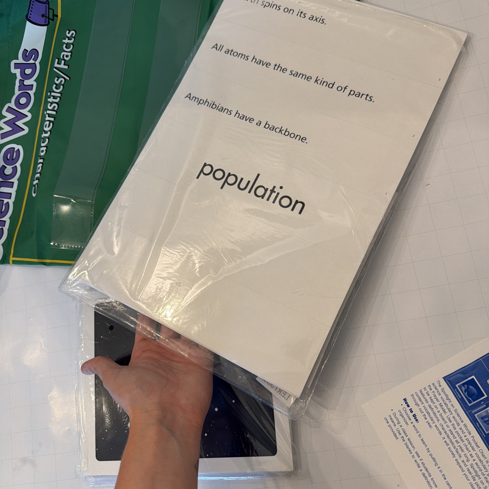 Learning Resources Spotlight On Science Words Pocket Chart