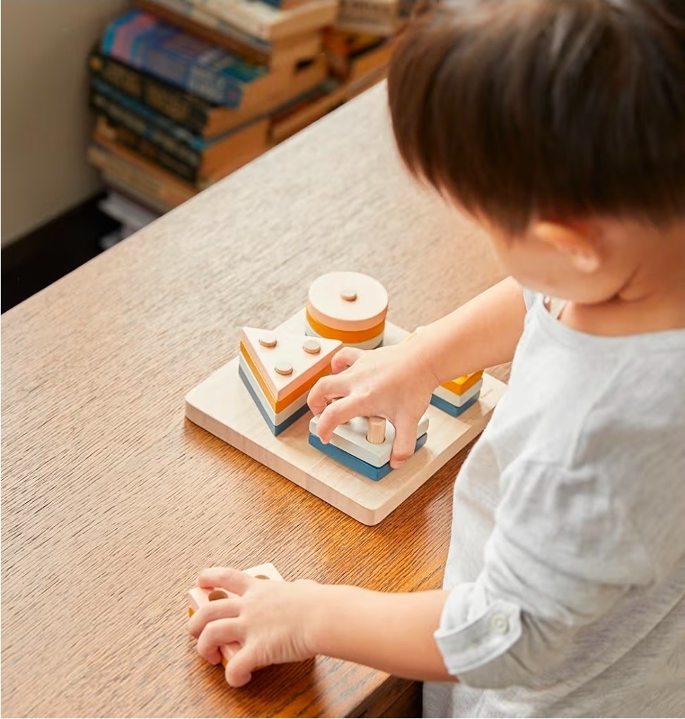 NEW PlanToys® Geometric Sorting Board Montessori Shape, Size, Color Learning Toy