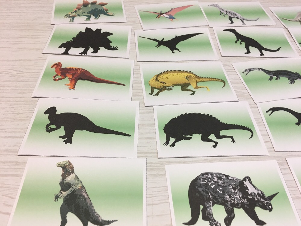 Dinosaur Shadow Matching Laminated Activity Set – Teaching Supplies