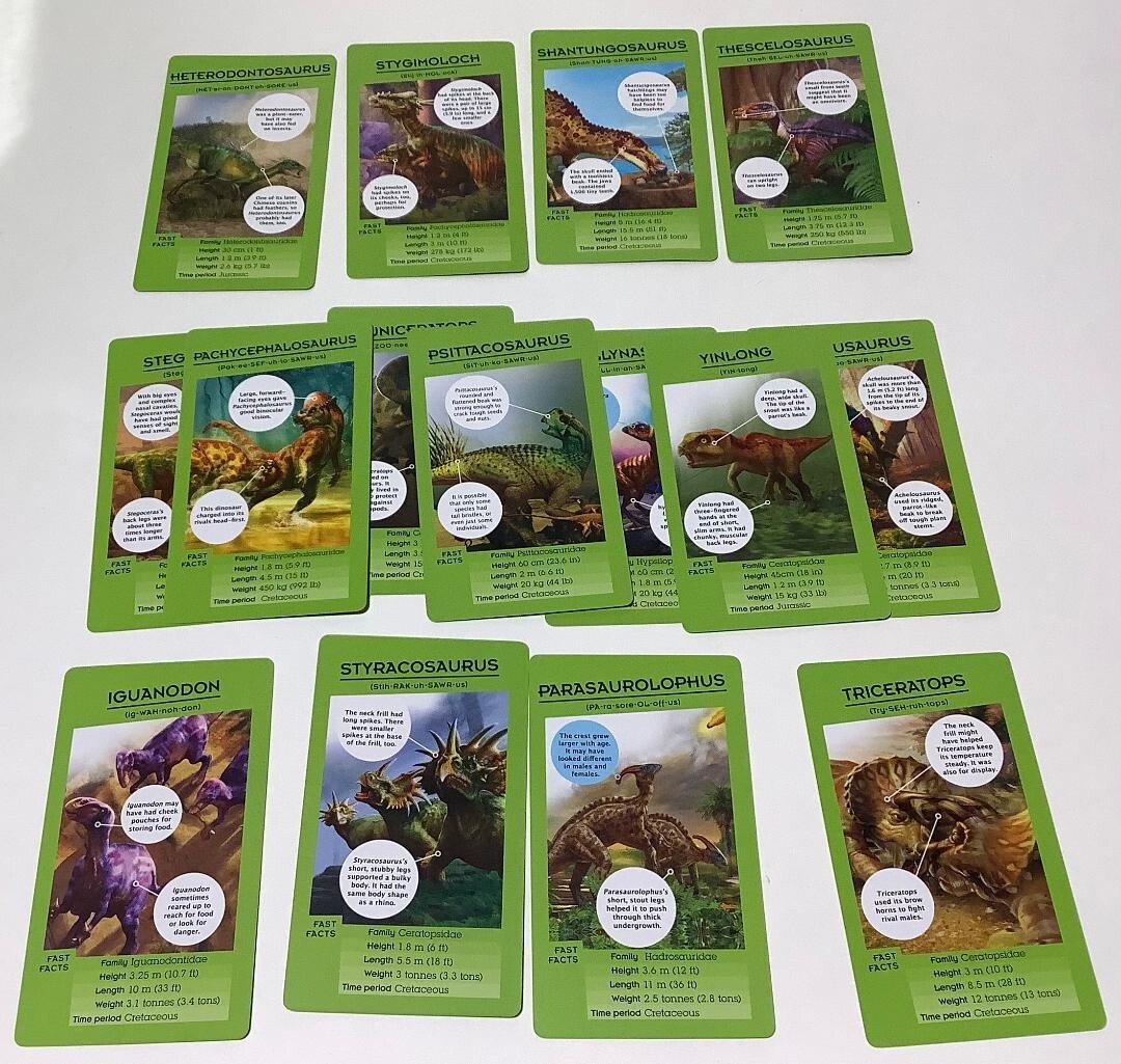 Set of 50 Dinosaur Information Travel Cards