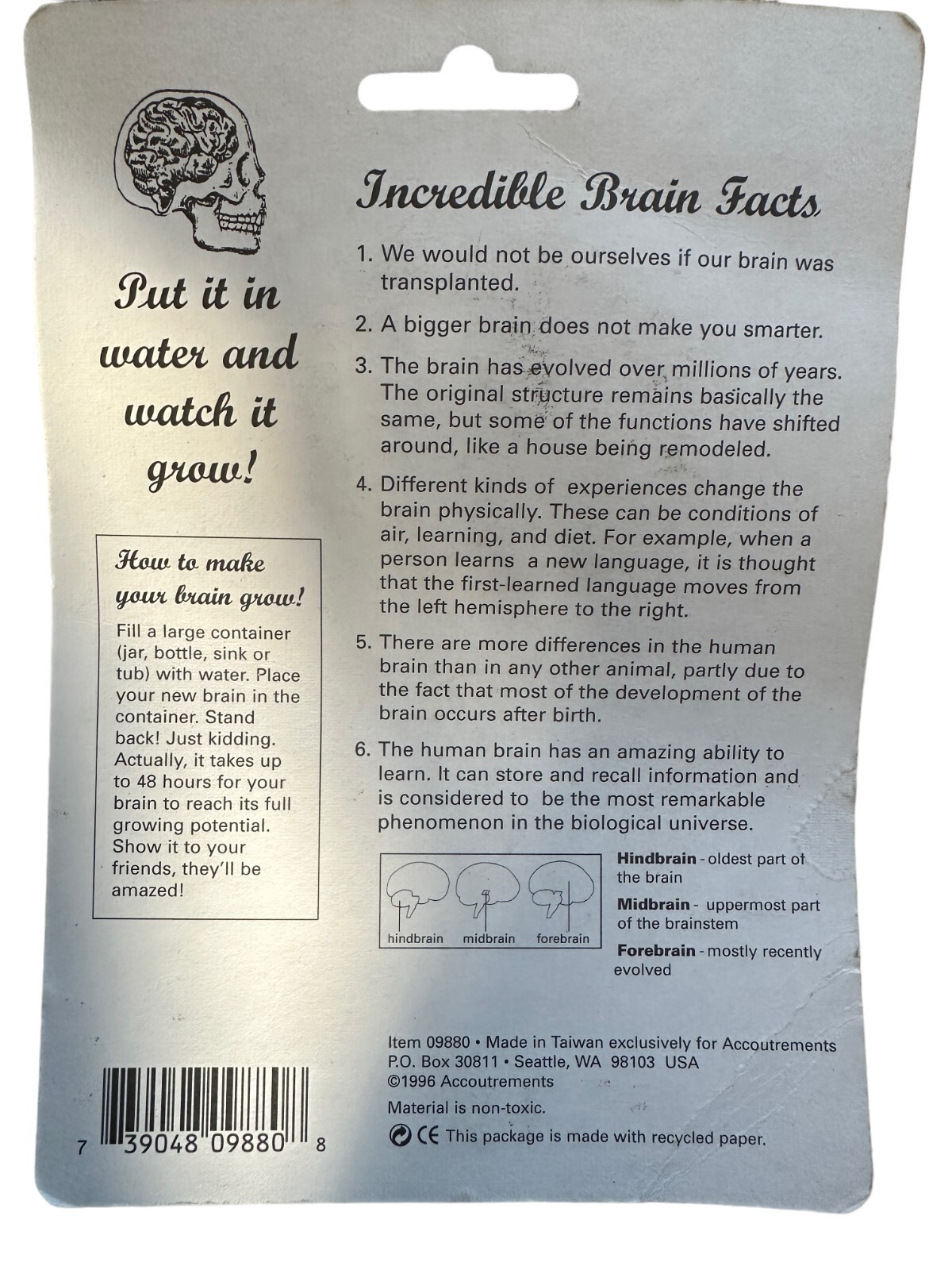 Grow Your Own Brain Water Activated Toy Novelty Gag Gift Stocking Stuffer 90s