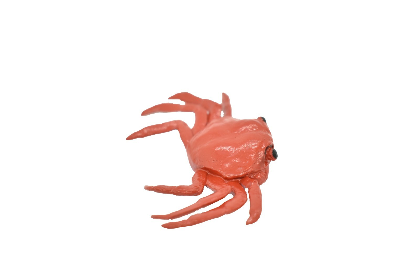 Crab Sally Lightfoot, Galapagos Islands, Plastic Replica 2″ F1591 B150