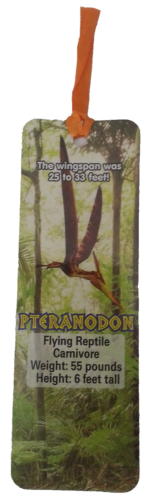 Dig Discover Dino-Mite Dinosaur Fossils Educational Gift 18 items Teacher Summer