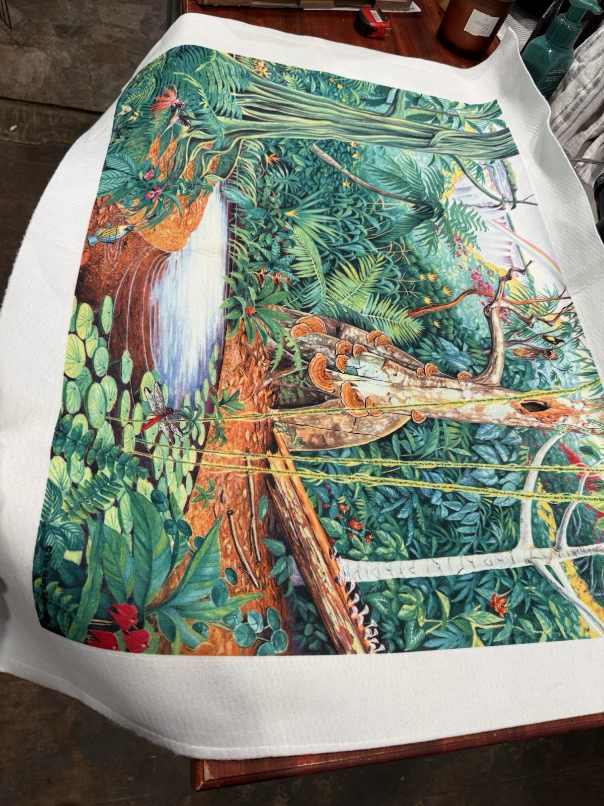 Felt Story Telling Background Of Jungle, No Animal Pieces