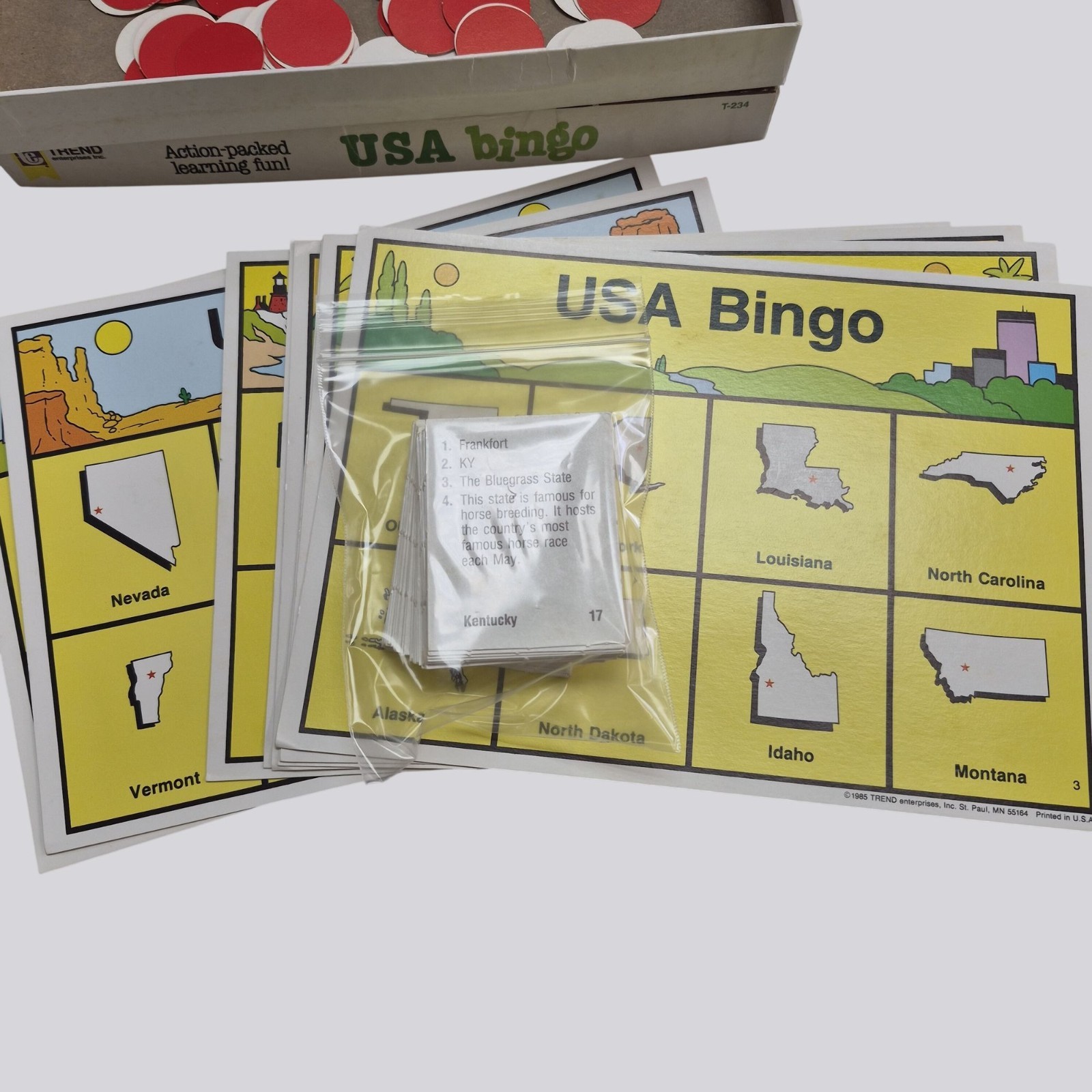 Vintage USA Bingo Board Game States Trivia Ages 9+ 1985 Educational Learning