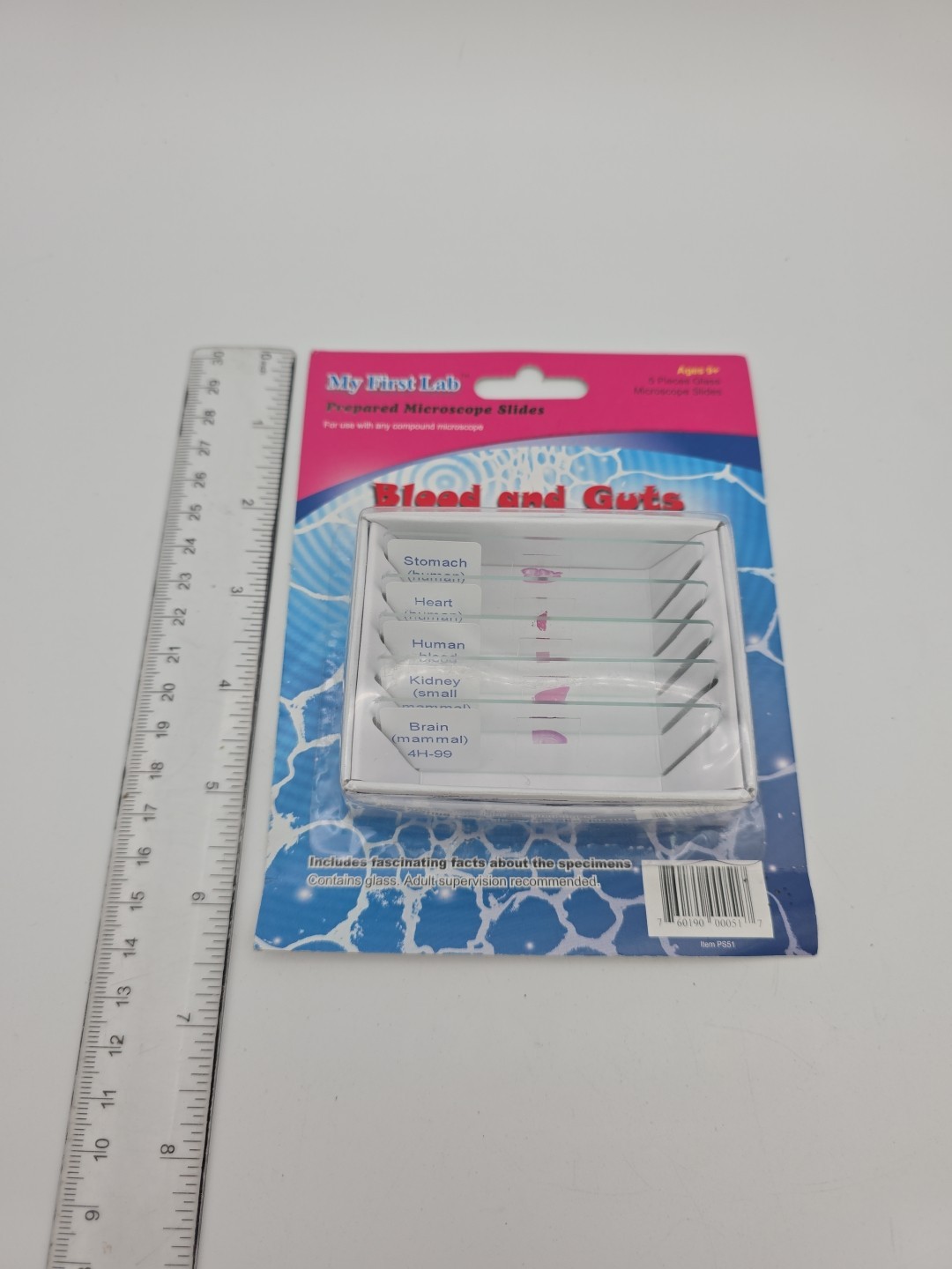 My First Lab Prepared Microscope Slides Blood And Guts PS51 Homeschool Science