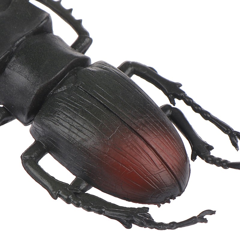 Simulation beetle Toys Special Lifelike Model insect Toy teaching aids joke QH