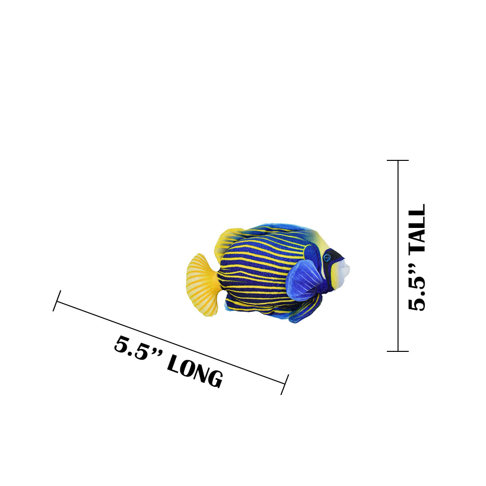 Angel Fish, Pterophyllum, Ciclids, Tropical Fish Magnet 5 1/2″ CWG30BB3