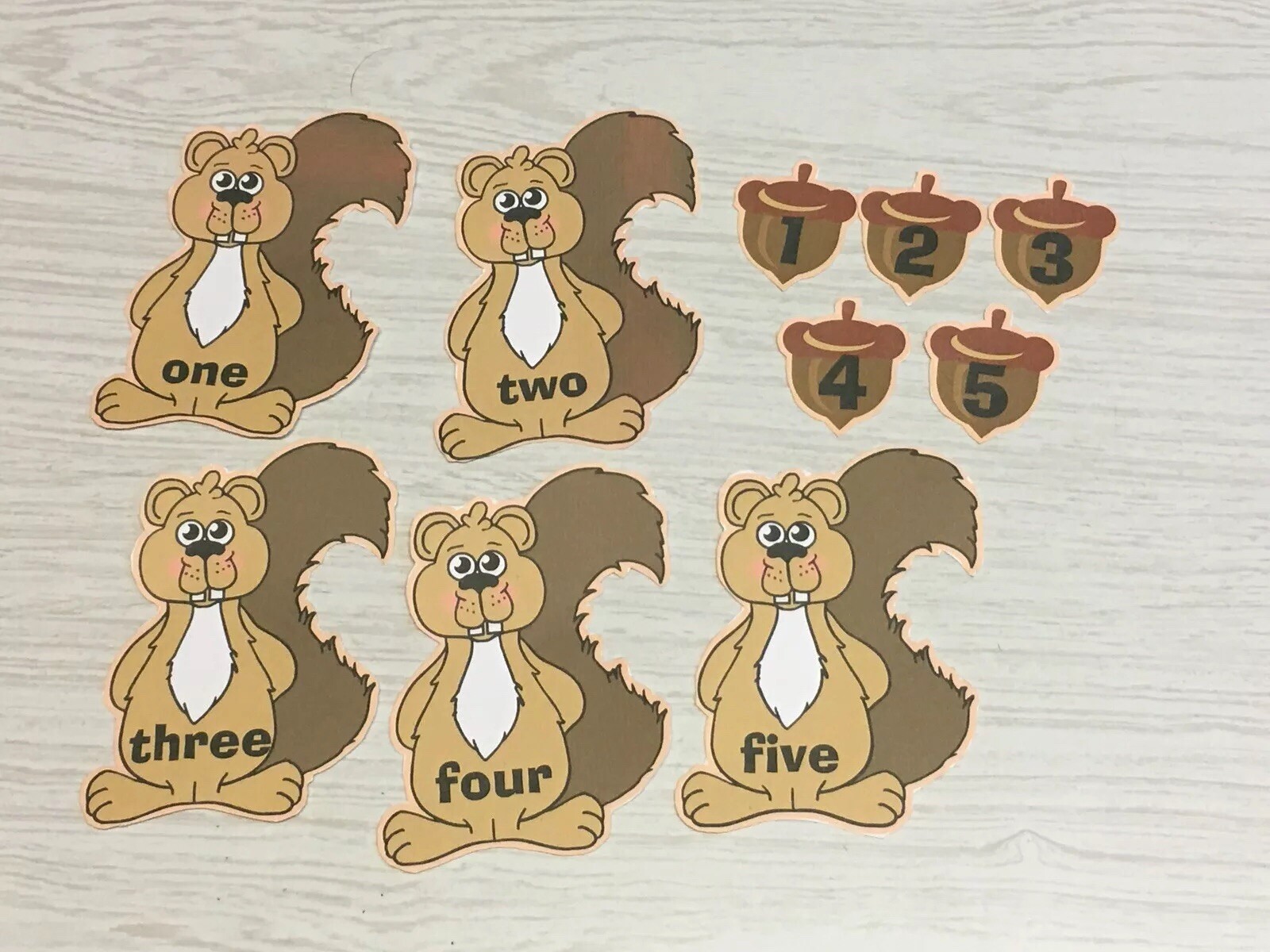 Five Little Squirrels – FLANNEL /FELT BOARD STORY Pieces