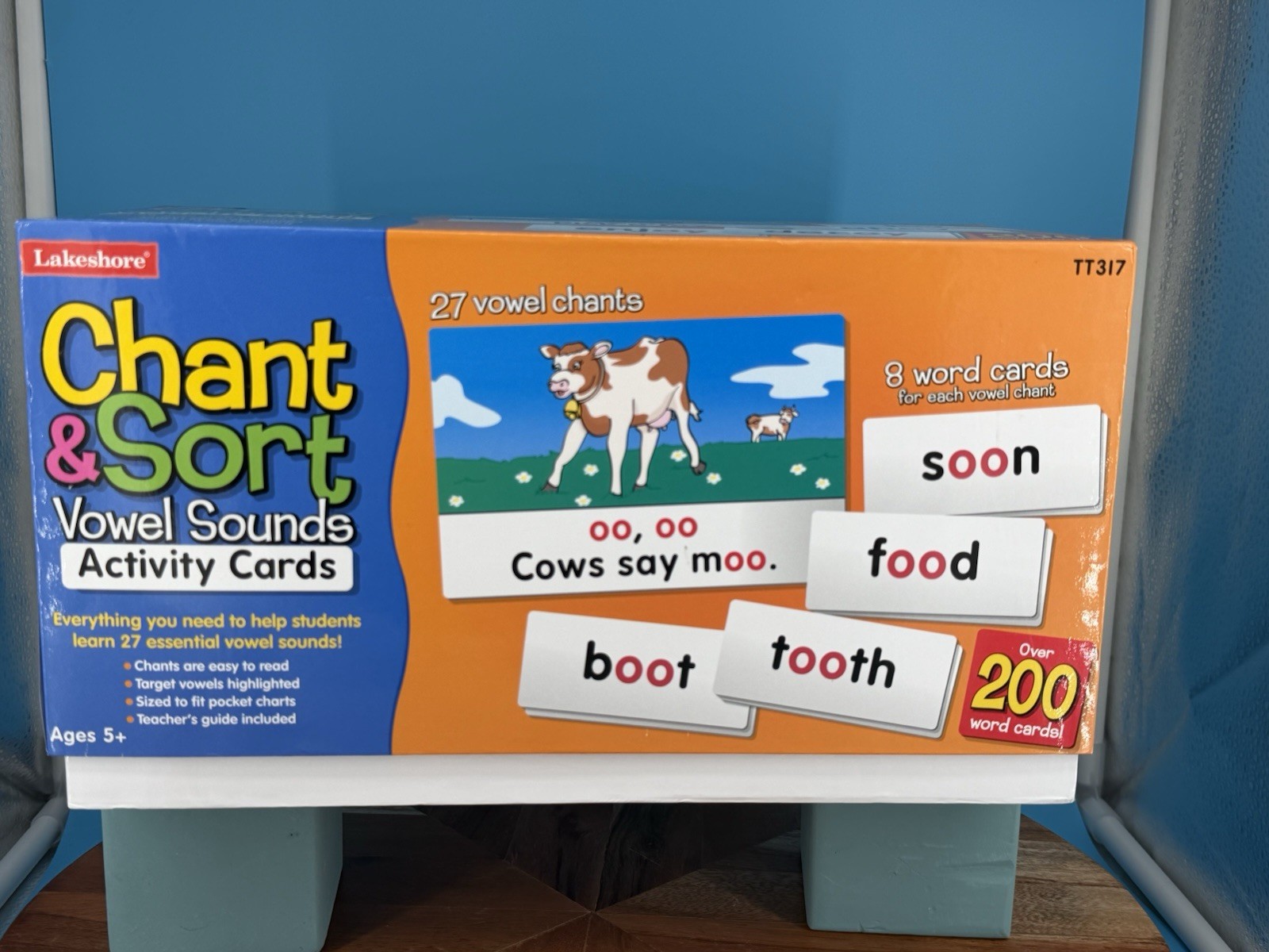 Lakeshore Chant & Sort Vowel Sounds Activity Cards TT317 Complete Teacher Set