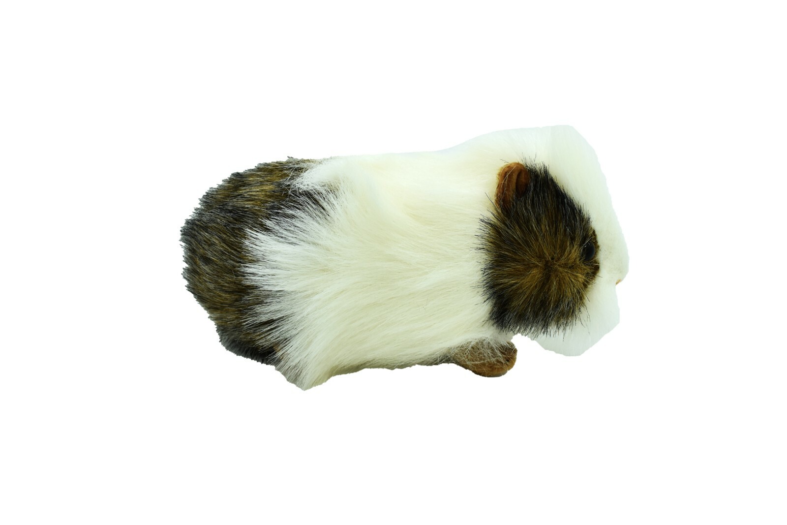 Guinea Pig, Gray – Brown and white Plush Animal 8-inch – F1689 B79