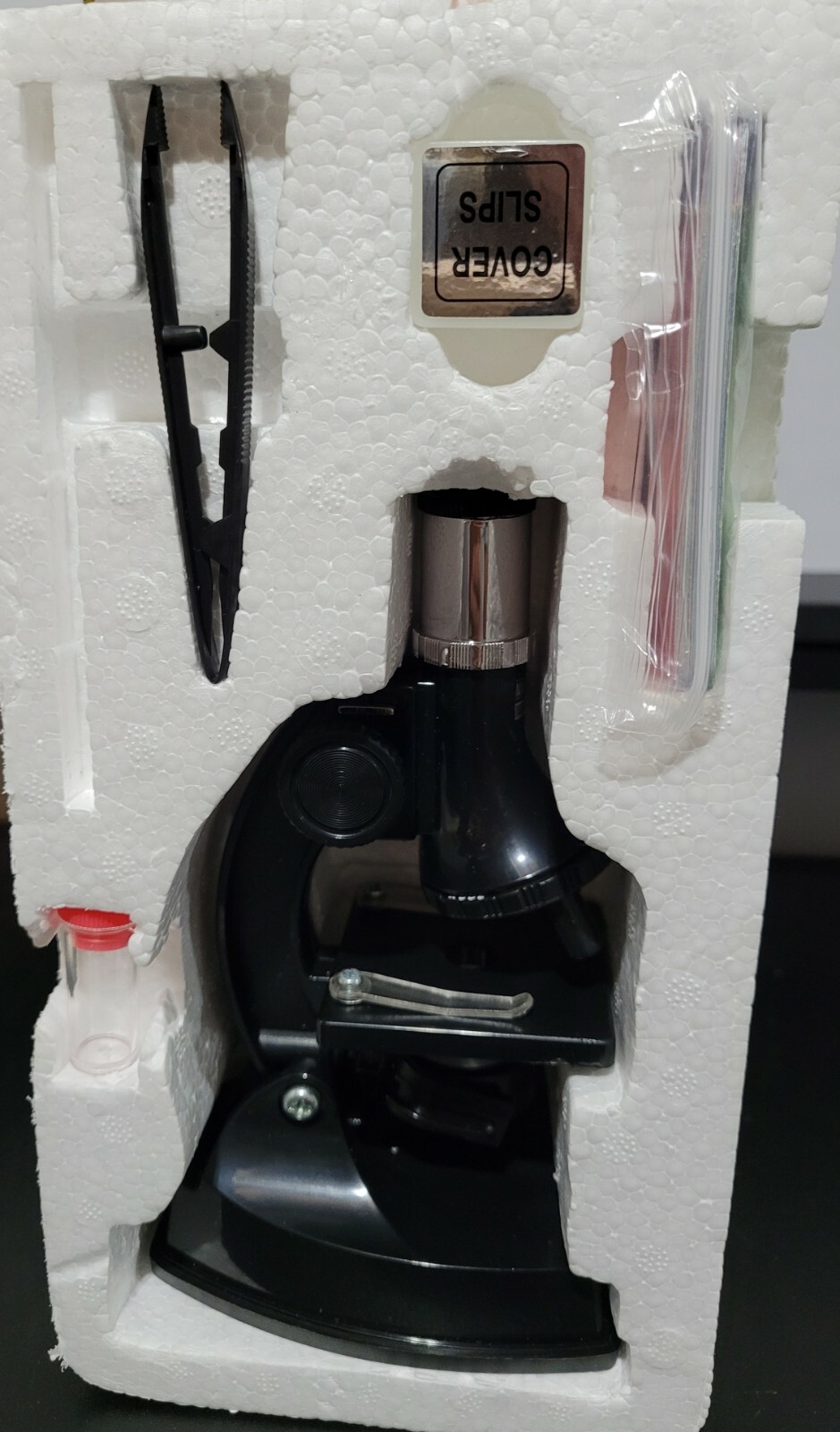 The Magic School Bus Microscope Lab – The Young Scientists Club – Homeschool