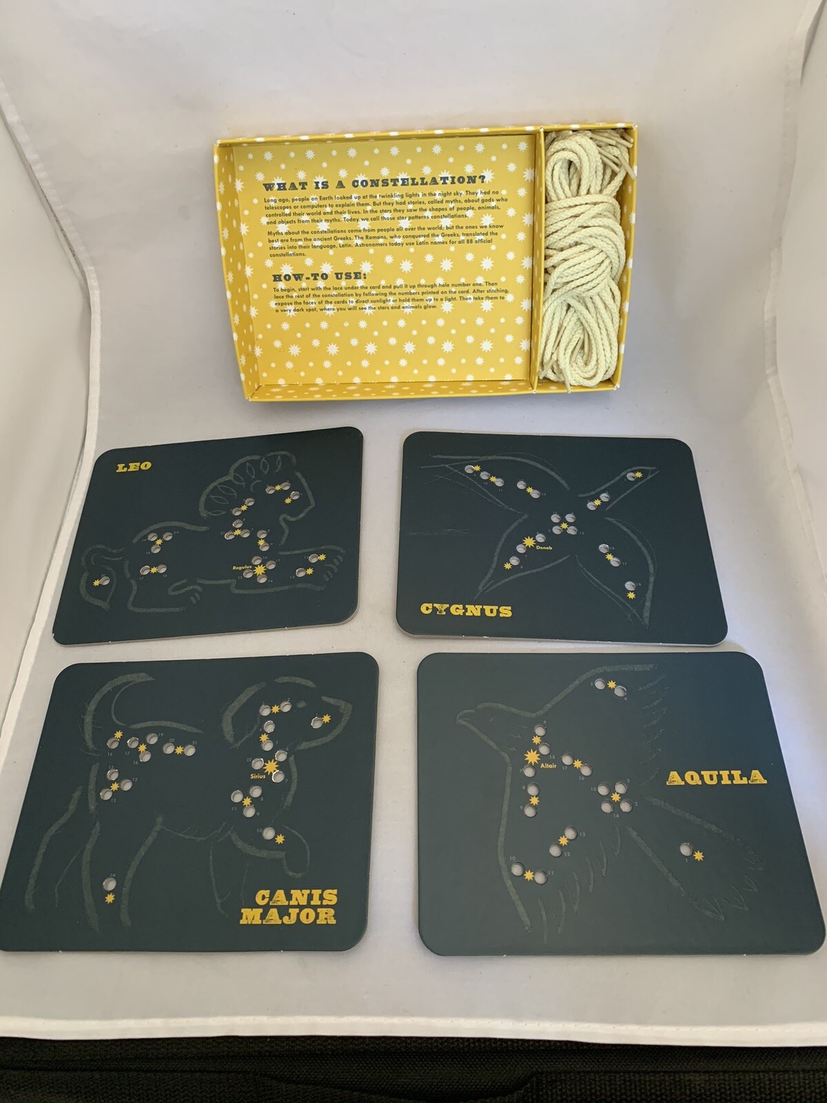 ANIMALS IN THE STARS LACING CARDS / glow in the dark / Chronicle Books I1