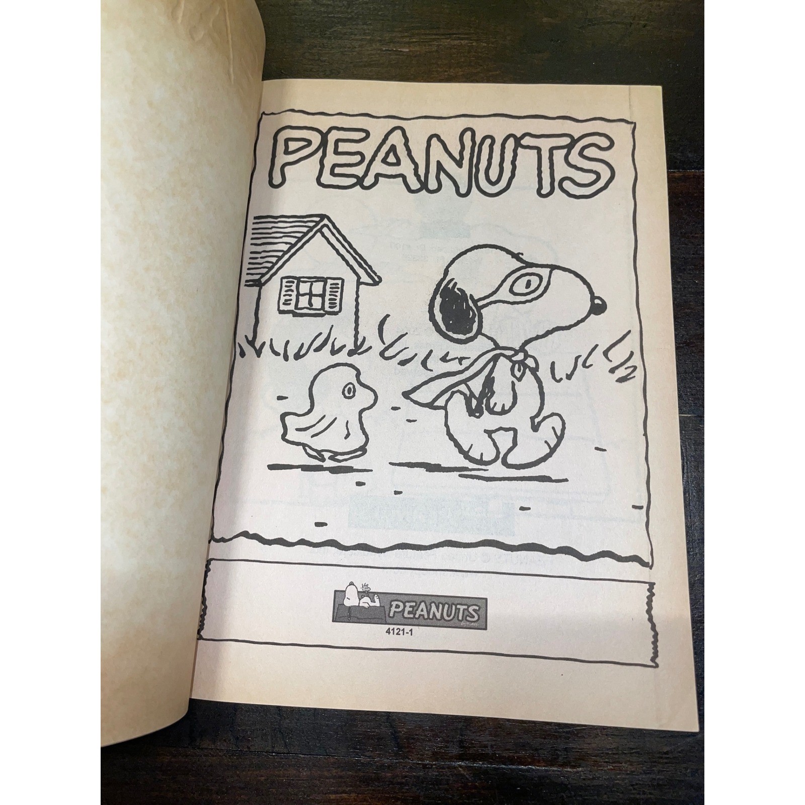 Peanuts Halloween Fun Coloring Activity Book Snoopy Pumpkin Fall