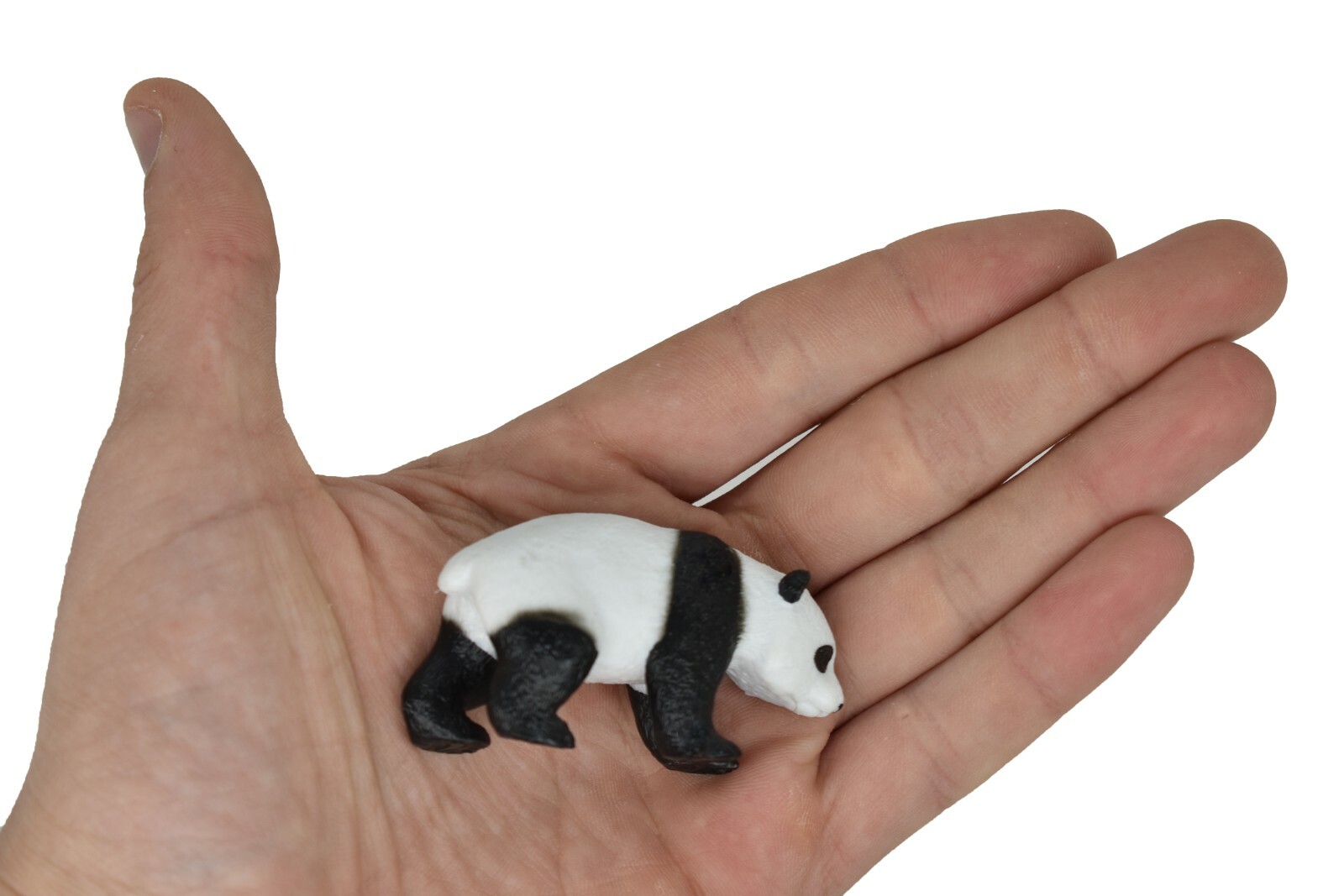 Panda Baby Plastic Replica Museum Quality 2.5″L x 1.3″T M110-B646