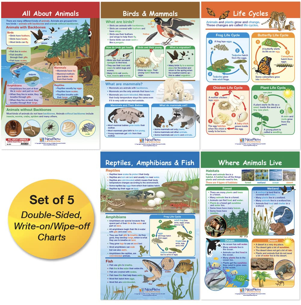 -94-1501 All about Animals Bulletin Board Chart Set (Pack of 5)