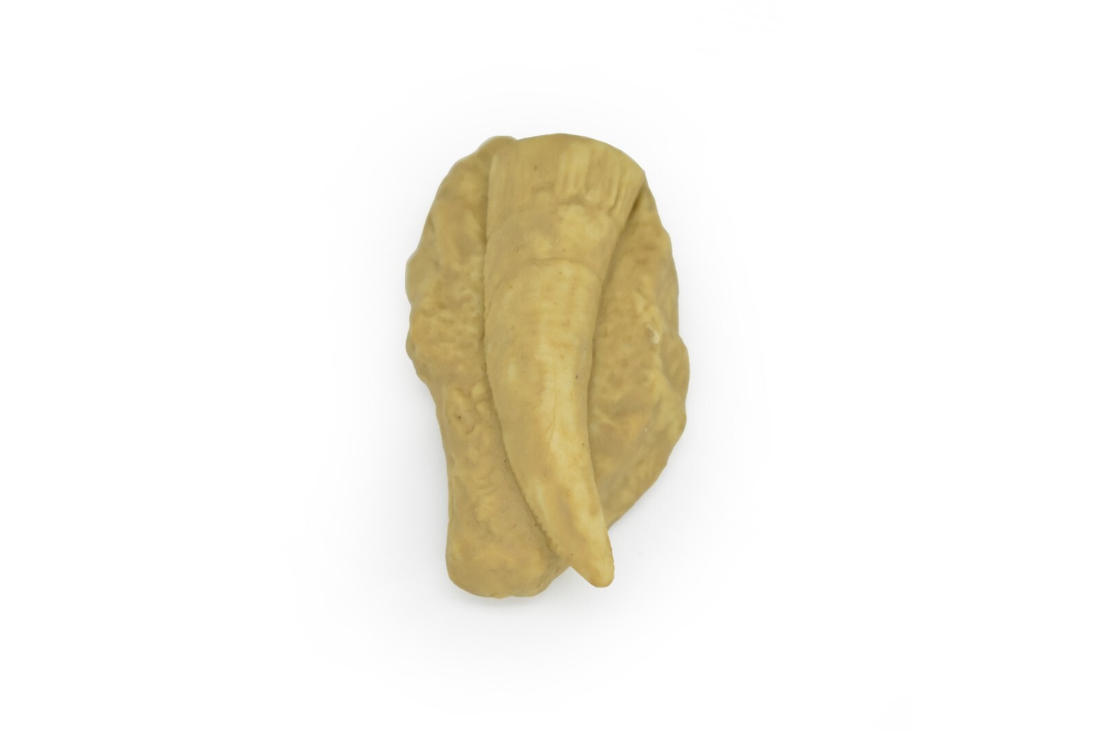 T. REX Dinosaur Tooth Fossil Toy (2 Colors) Plastic Replica 2″ long – F4106 B96