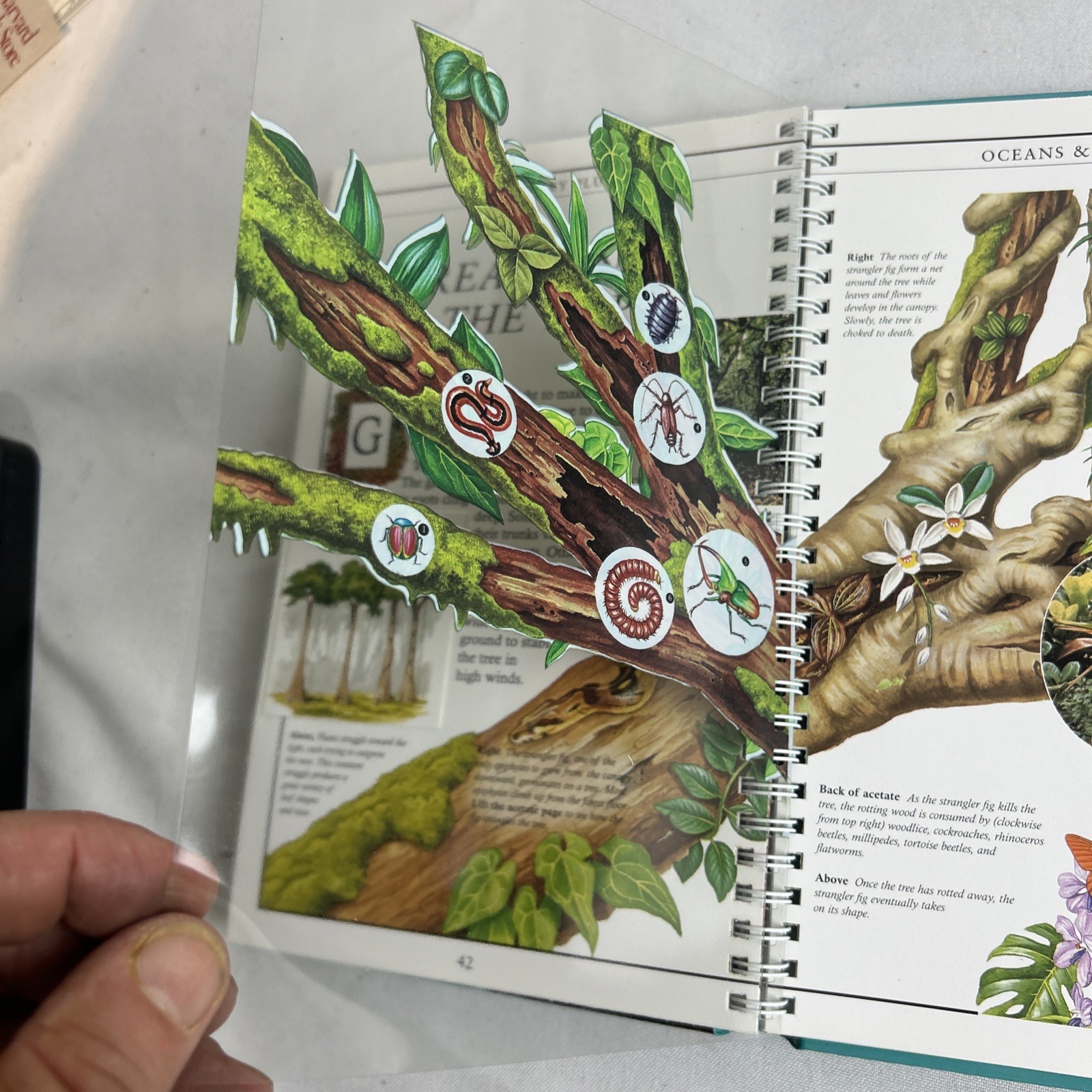 Lot Of (5) Discovery Plus Books INTERACTIVE/Fold Outs / Tabs/ Wheels / Acetate
