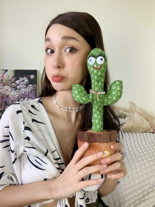 Cactus Dancing doll, can talk along, can record, can sing Very cute, Very fun