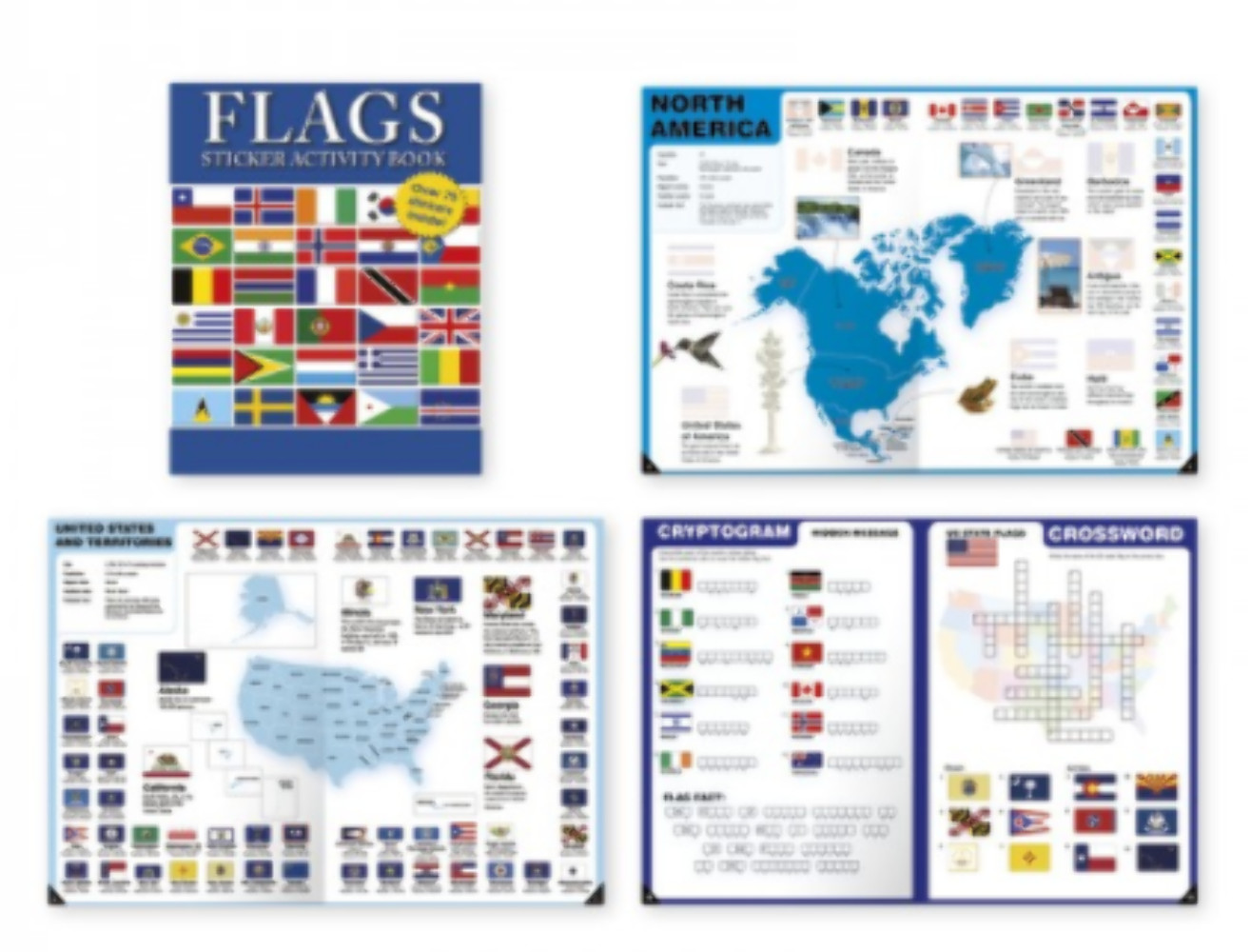 Flags Sticker Activity Book