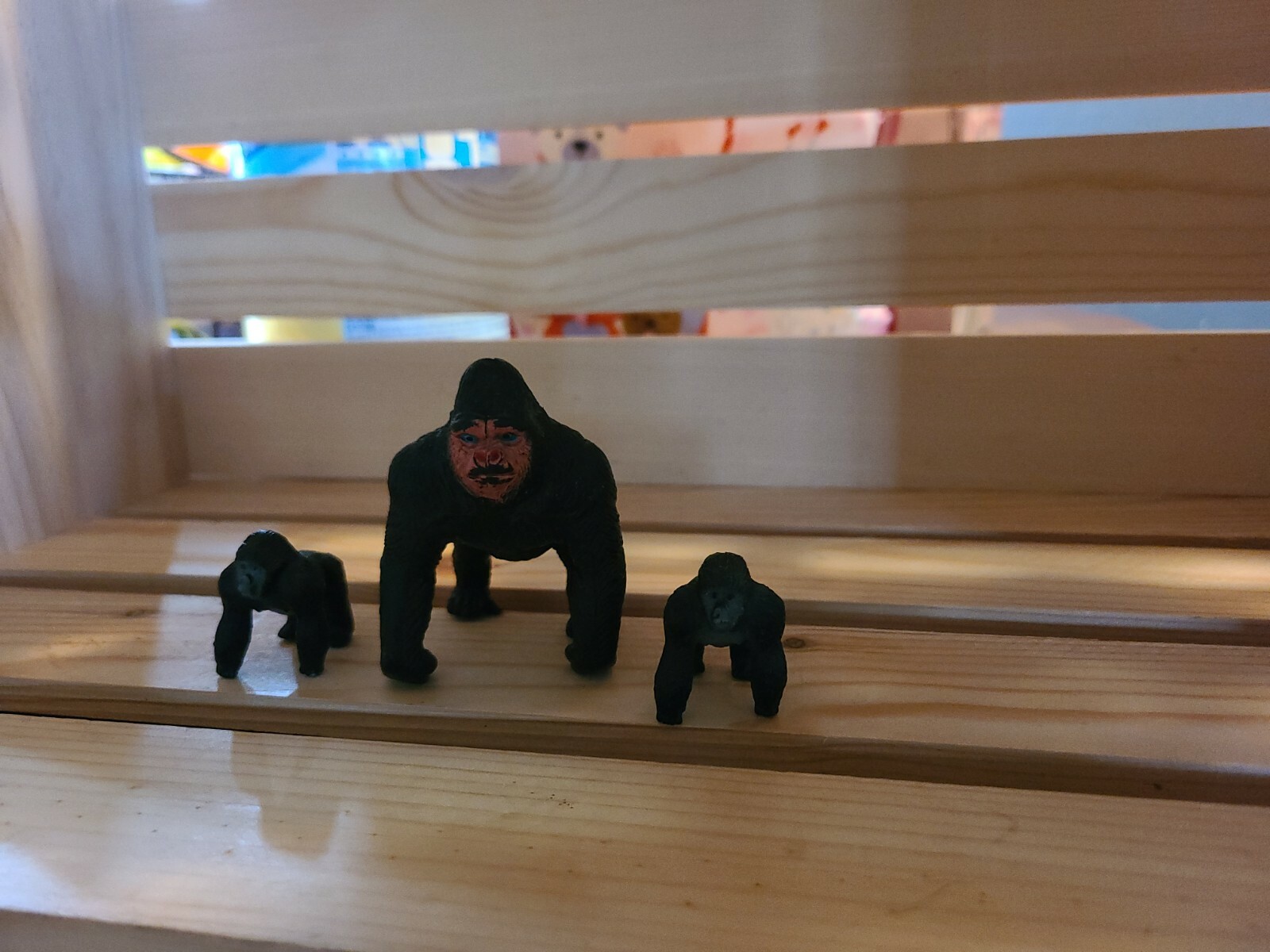 Gorillas Bundle