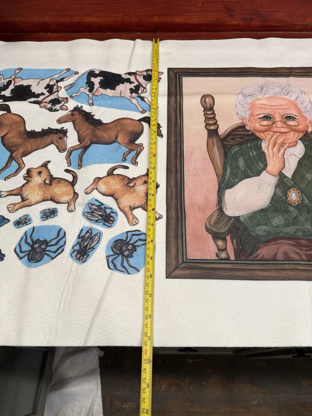 Felt Story Board Old Lady Swallowed A Fly Librarian Teacher Supply