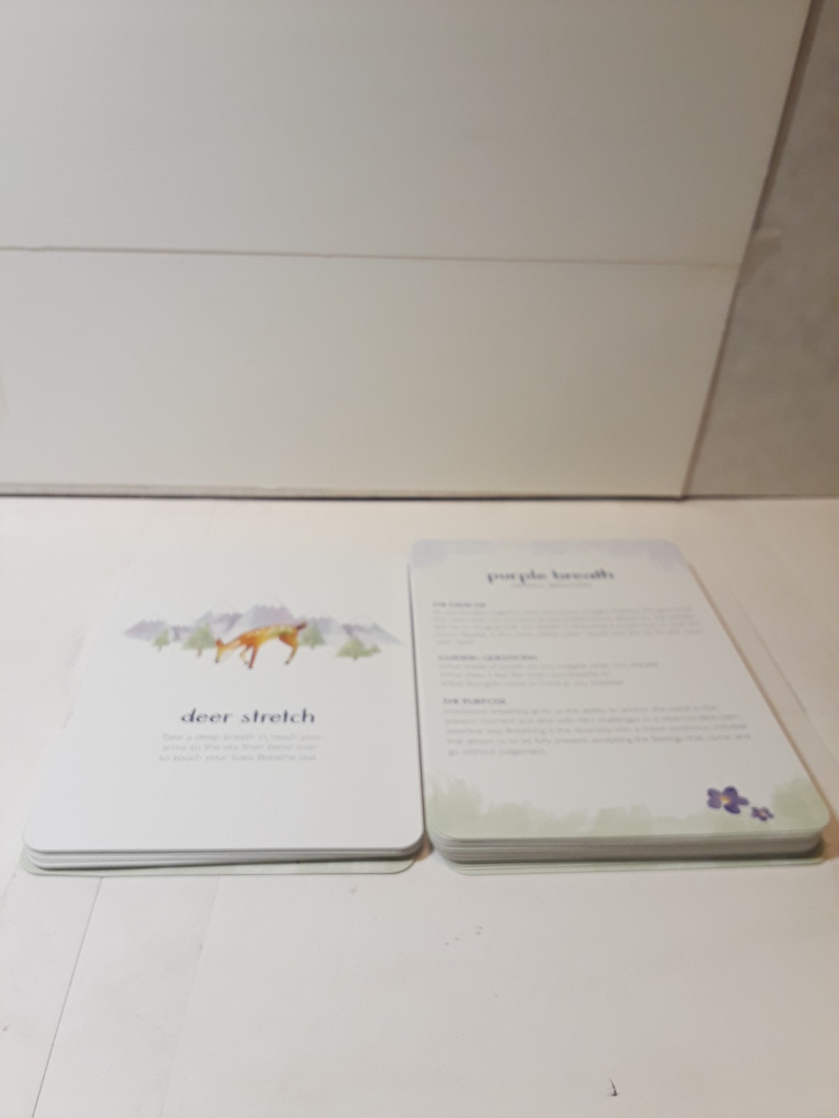 Little Renegades Mindful Kids Cards Ages 3+ Daily Exercises of Mindfulness