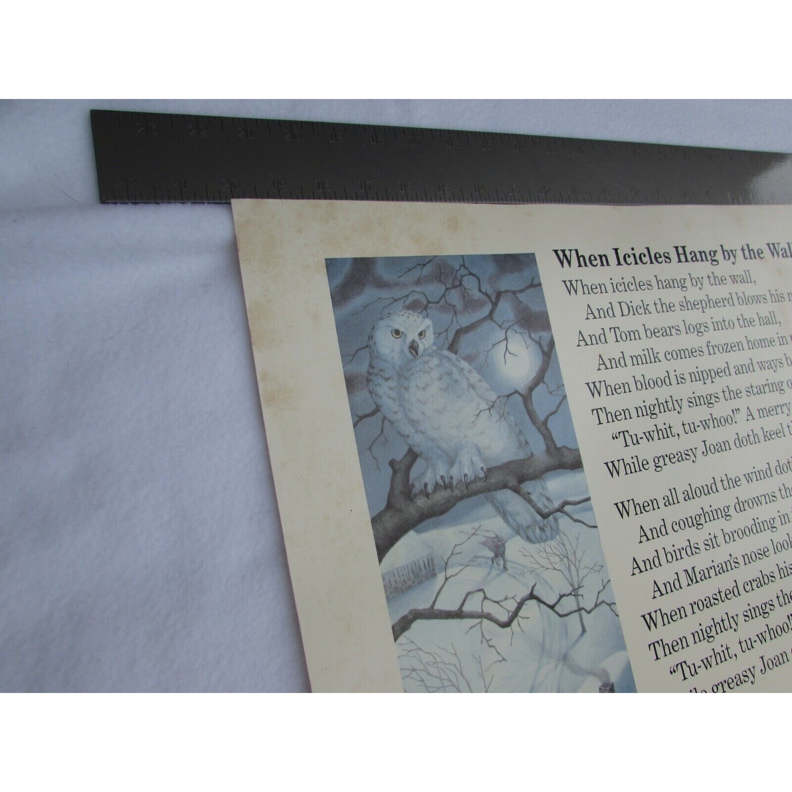 When Icicles Hang the Wall School Poster William Shakespeare 30254 Poetry VNTG