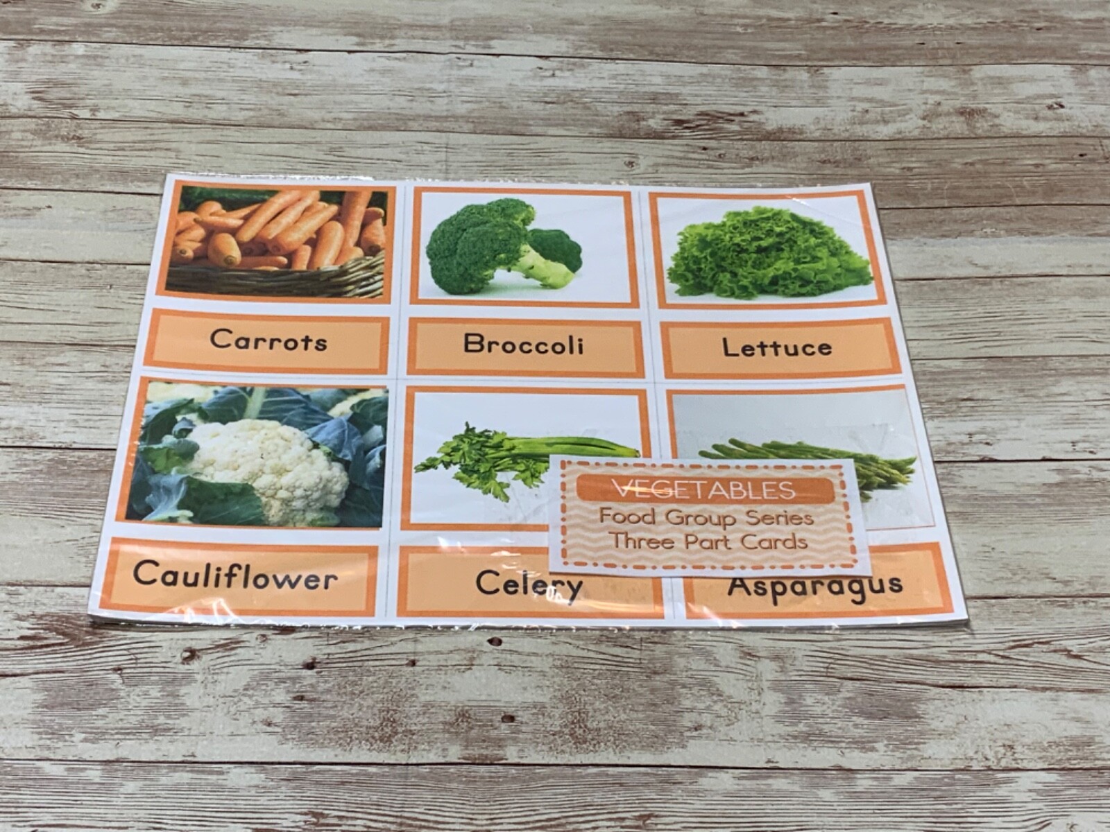 Montessori – Vegetables – Food Groups Series – Three Part Card – (PRINTED) DIY