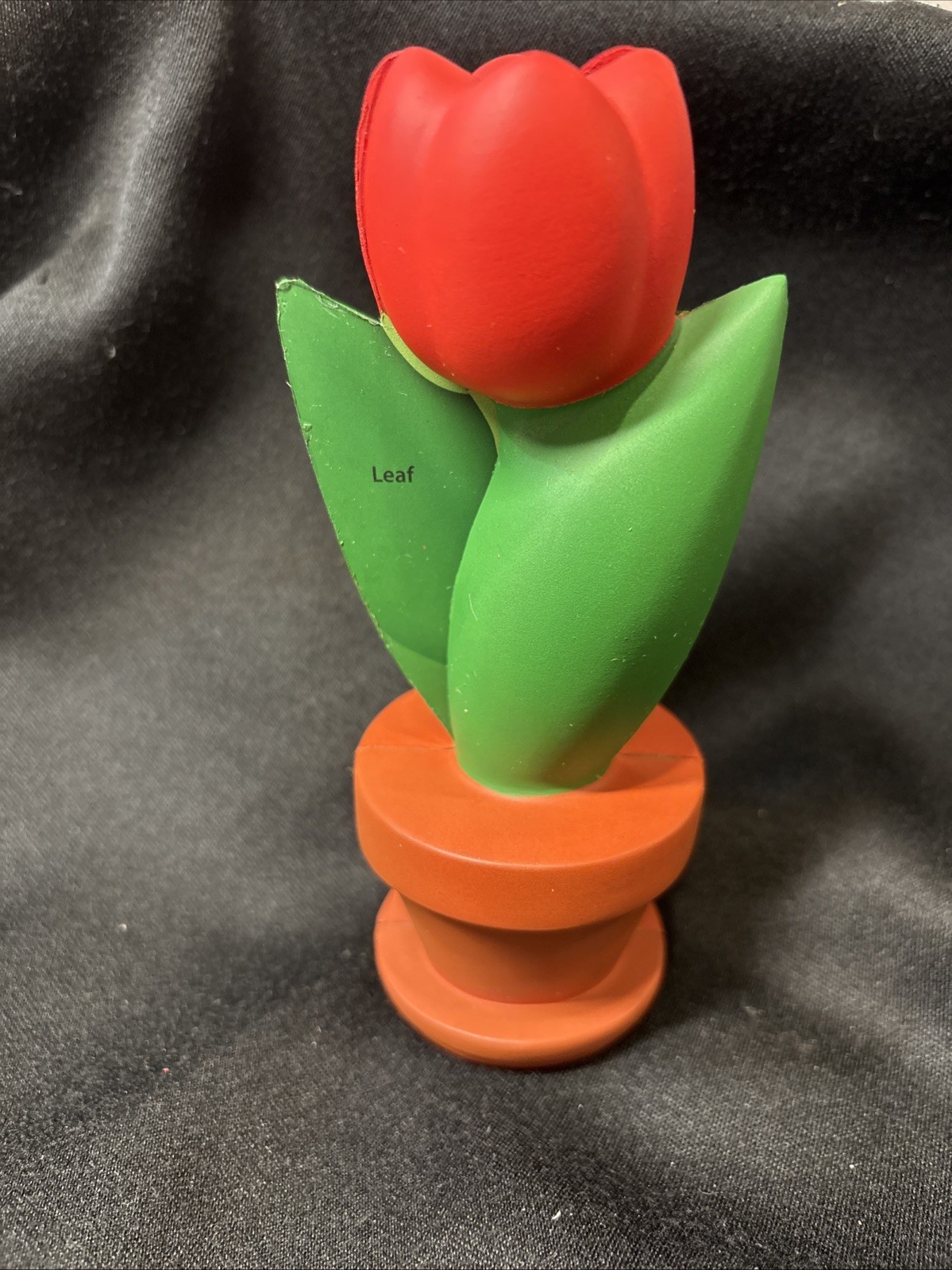New Learning Resources Cross-Section Flower Model designed for biology education