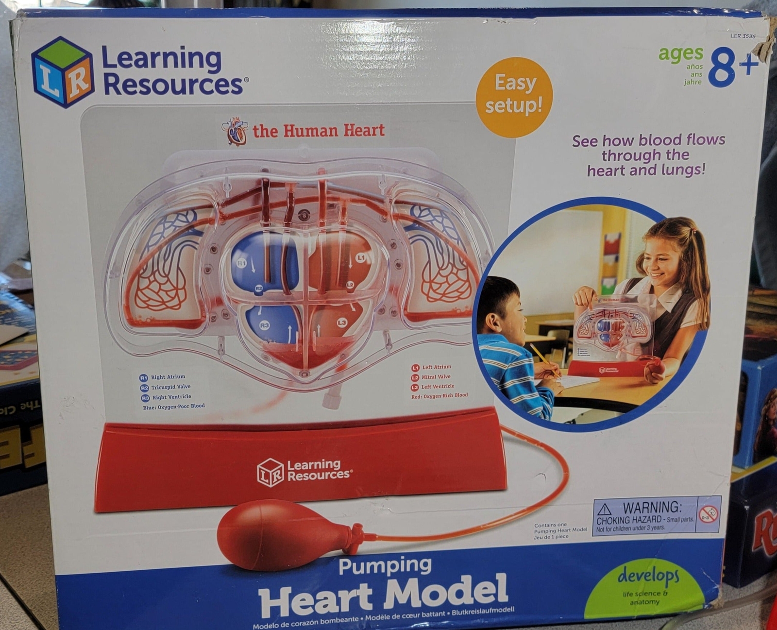 Learning Resources LER3535 Pumping Heart Model, Teaching Aid, Educational