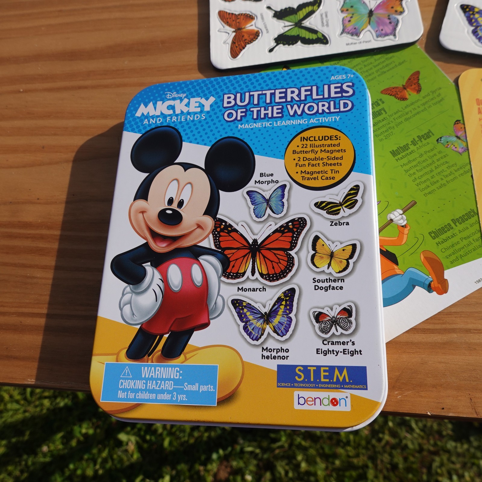Bendon Disney Butterflies Of The World Magnetic Learning Activity STEM
