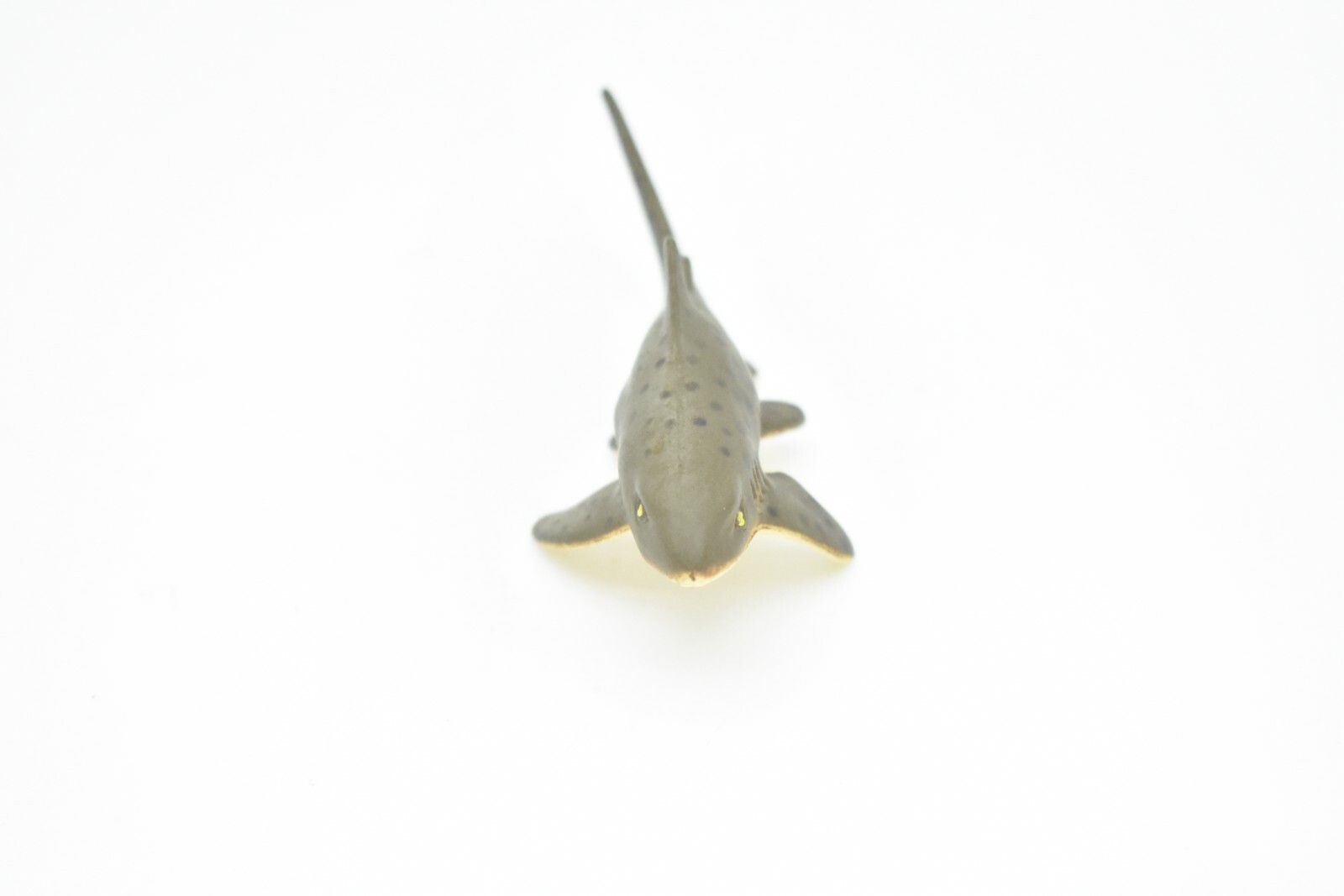 Zebra Shark, Very Nice Plastic Replica 3″ – F239 B76
