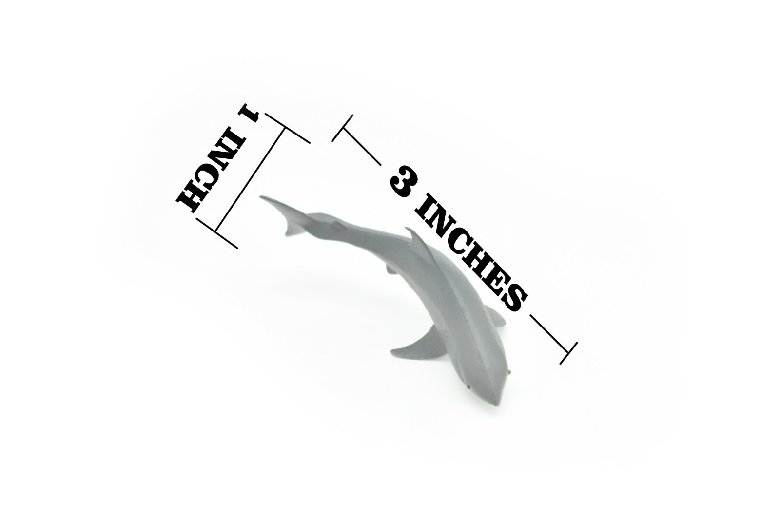 Great White Shark, Curved, Very Nice Rubber Replica 3″ – F224 B36