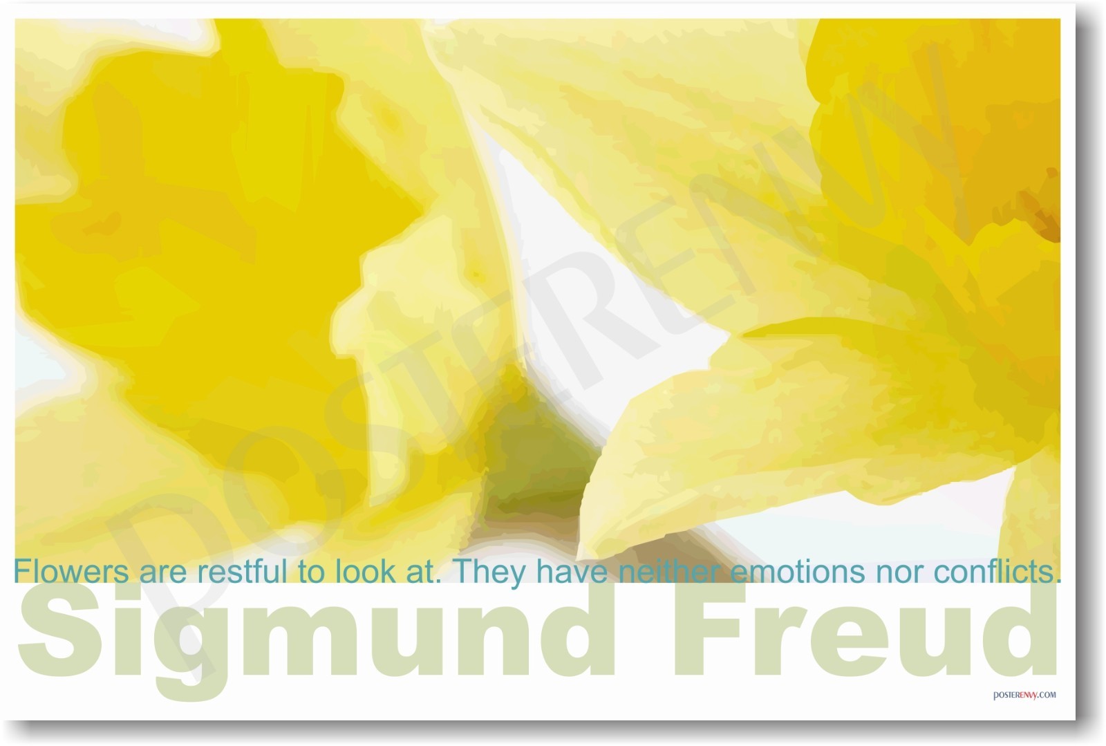 Sigmund Freud – Flowers Are Restful … – NEW Motivational Classroom POSTER