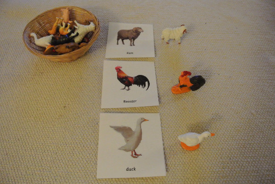 Montessori Common Farm Animals 3 Part Cards with Miniatures